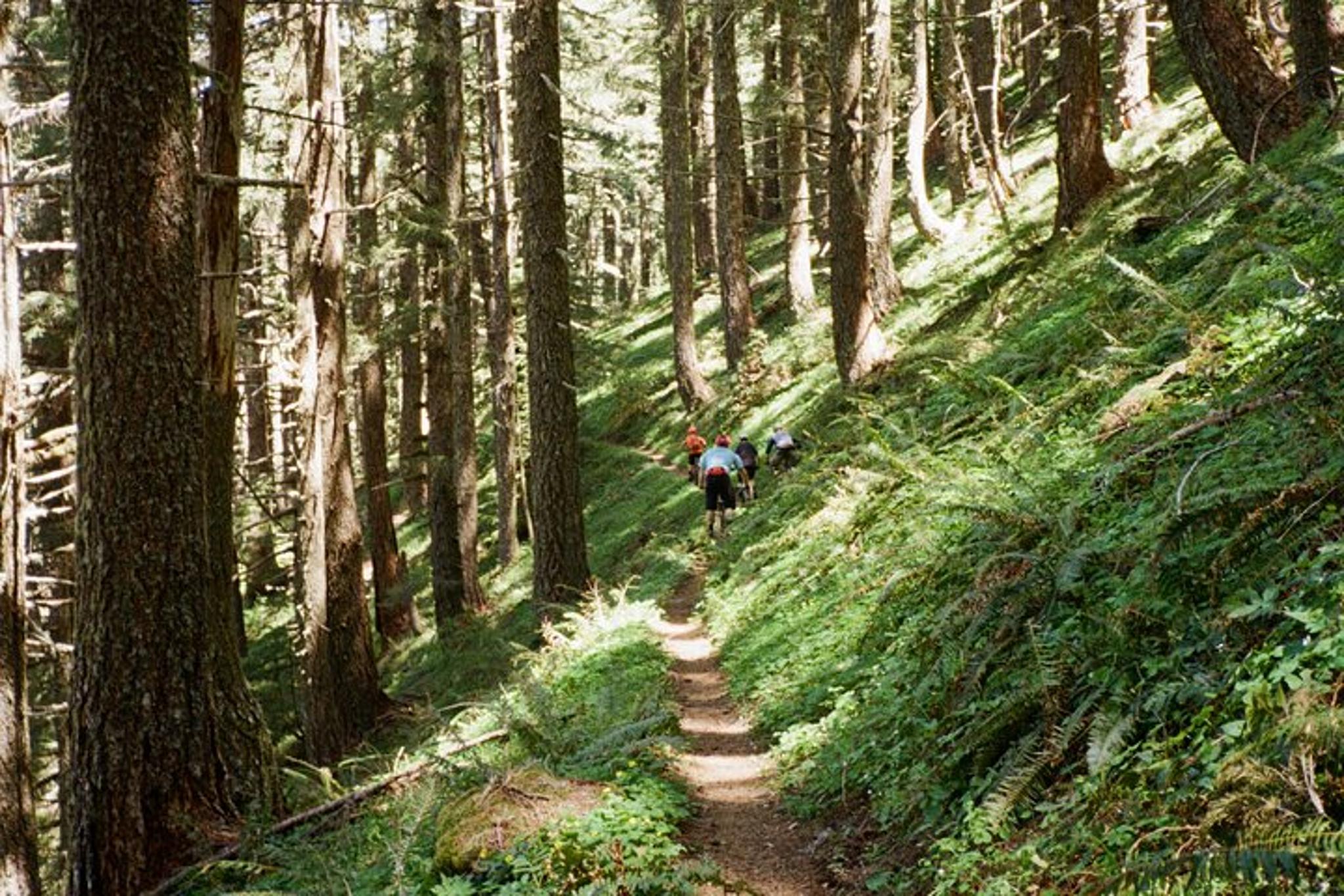Seattle Mountain Biking Adventure - Image 1