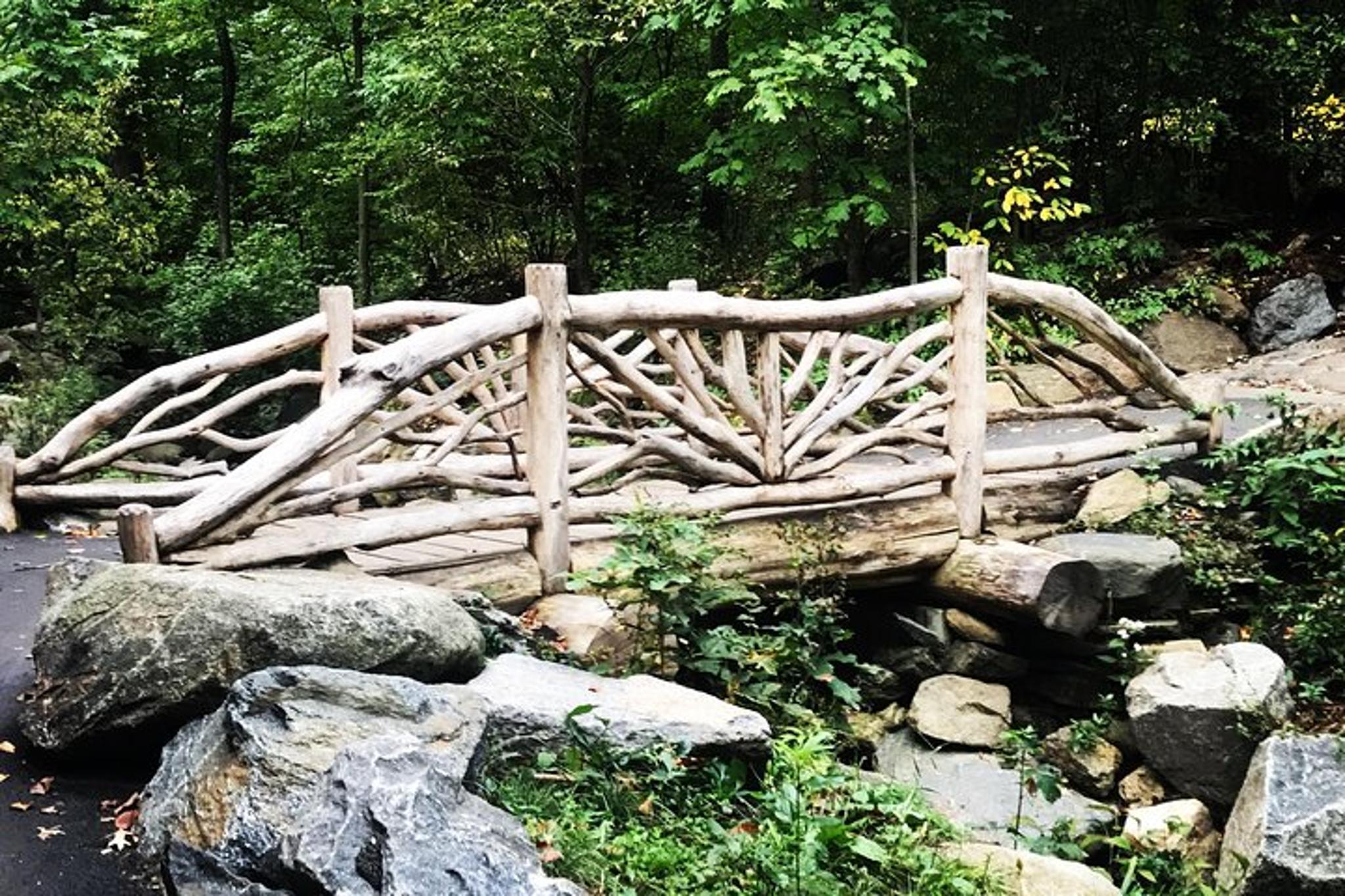 New York Central Park Secret Tour 2.5 hr - Image 2