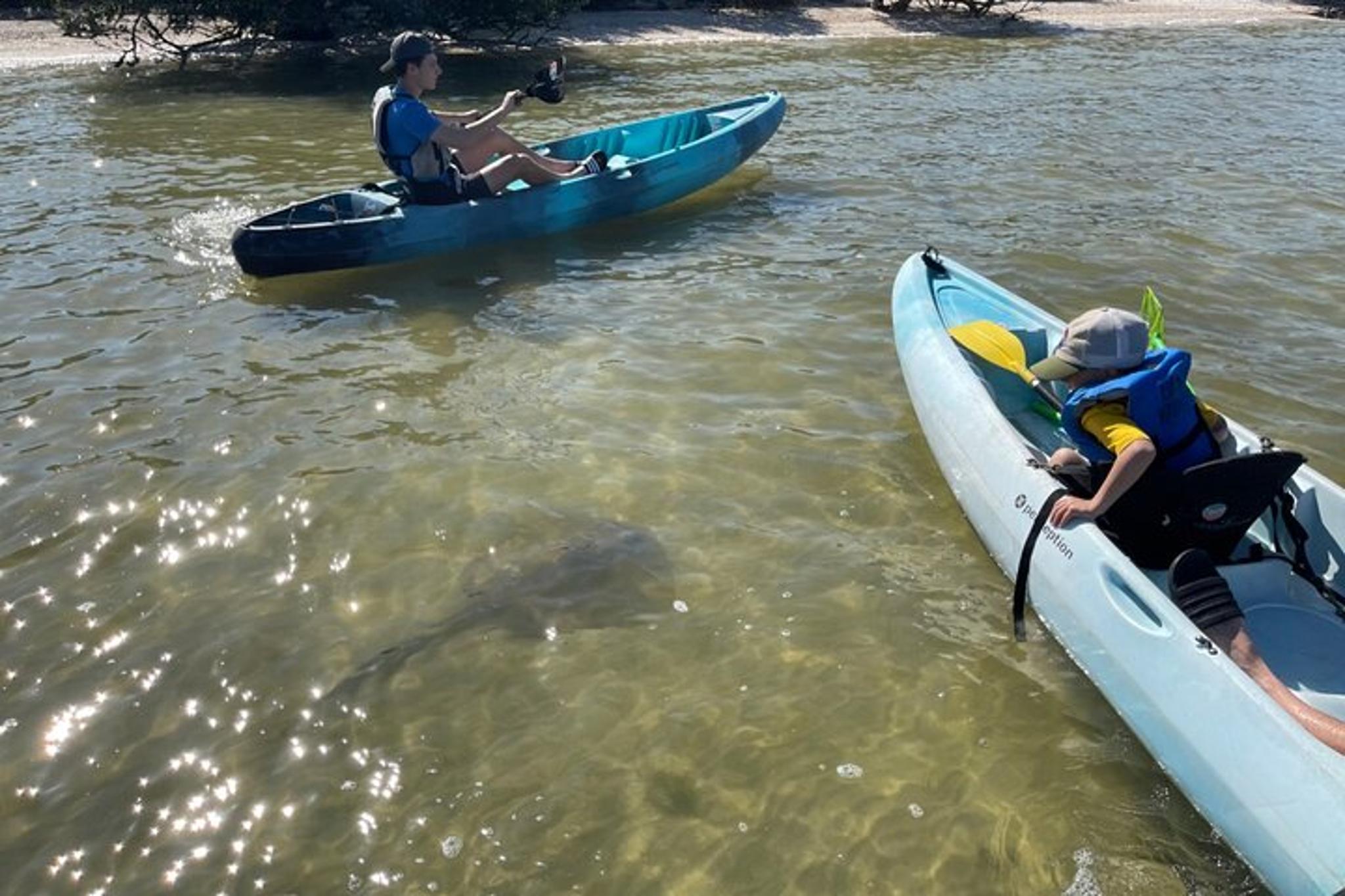 Florida Dolphin and Manatee Kayak Tour at Sunset 2 hr - Image 4