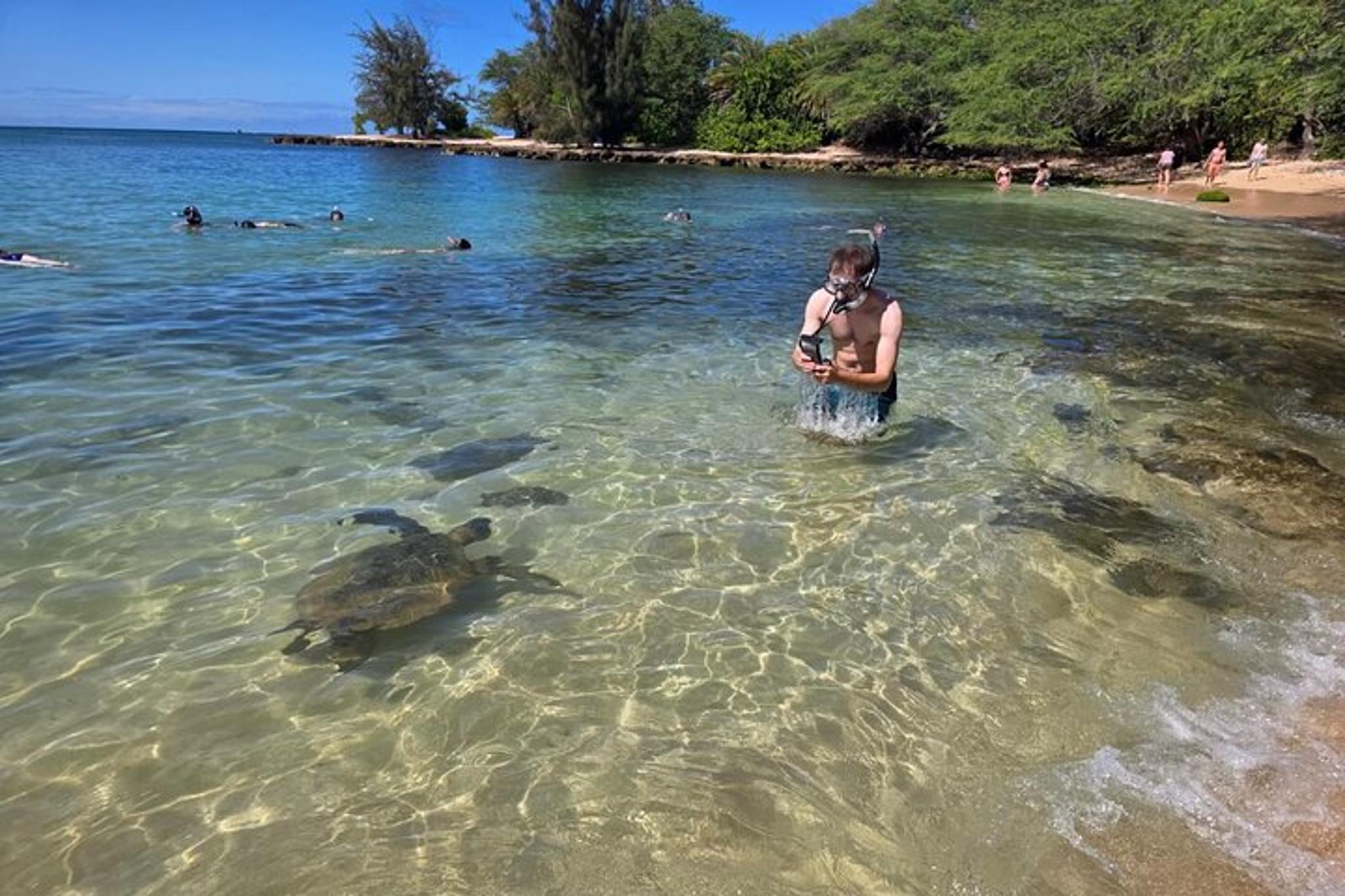 Oahu Circle Island Tour with Turtle Snorkeling