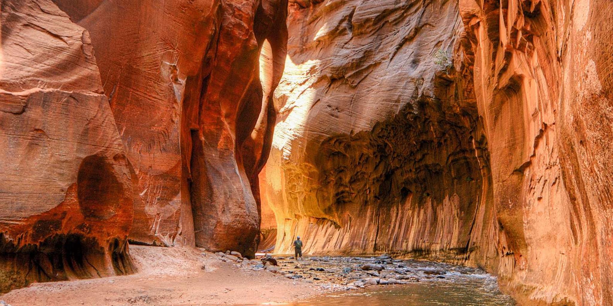 Las Vegas Bryce Canyon and Zion Park Tour with Lunch - Image 3