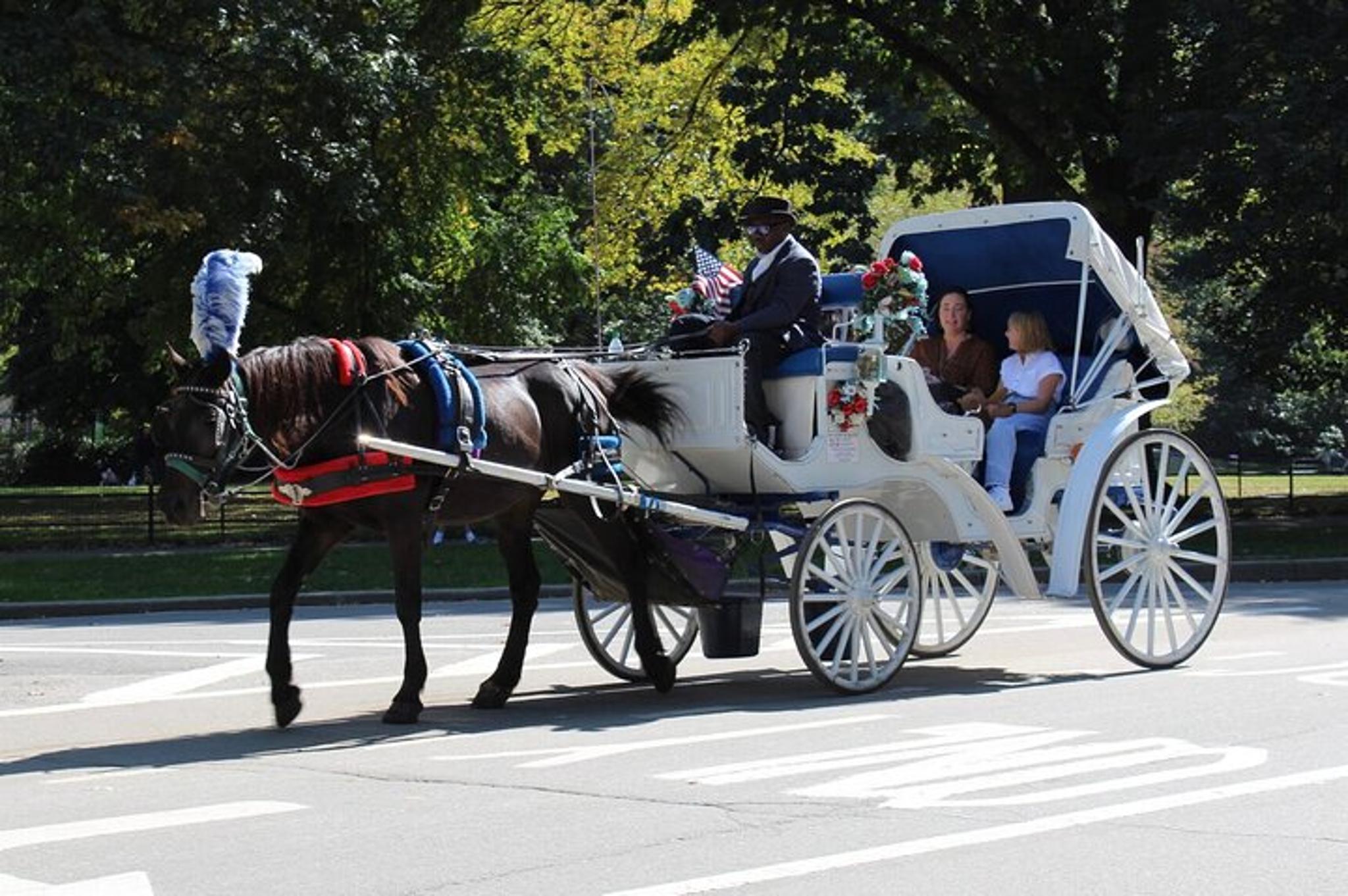 New York Central Park Horse Carriage Ride - Image 4