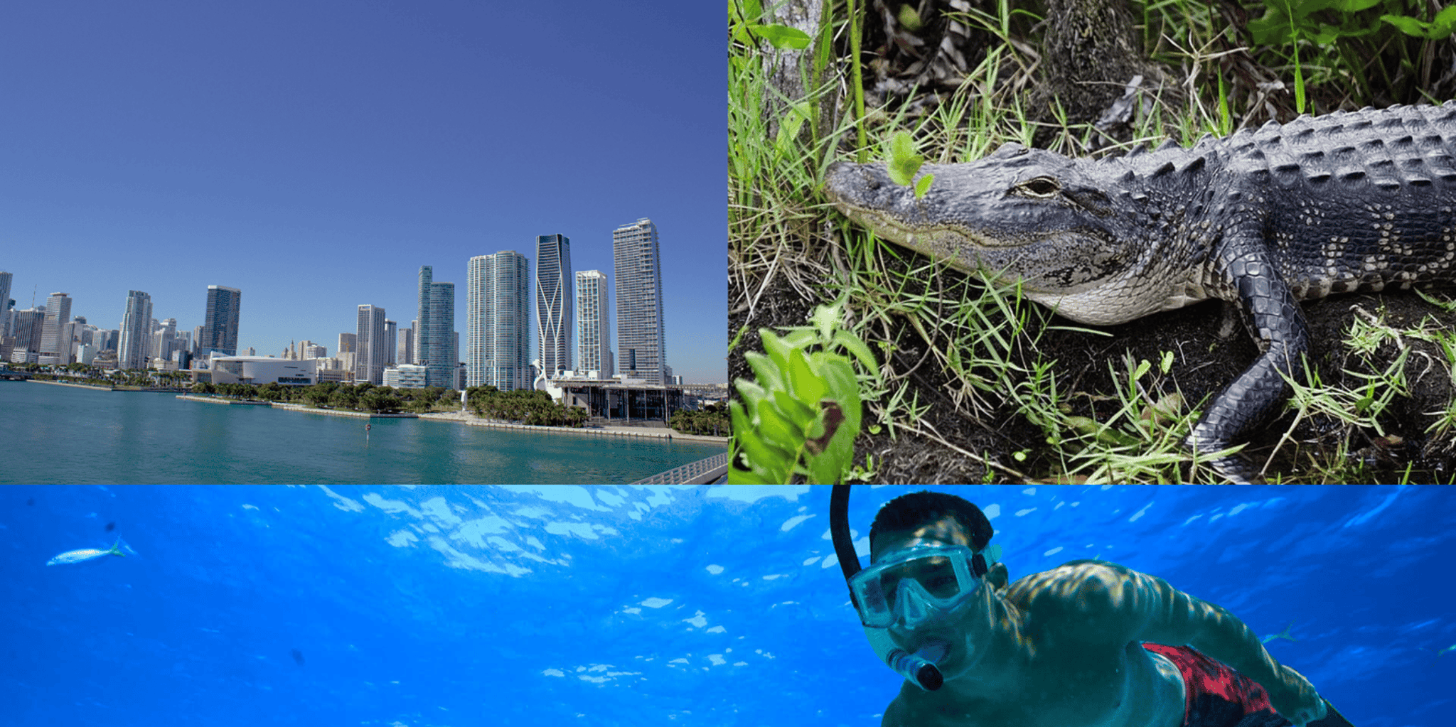 Miami Bus & Boat, Everglades & Key West Snorkeling 3-Day Tour - Image 1