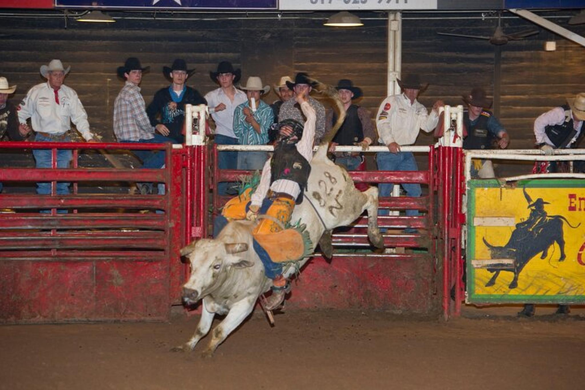 Fort Worth Honky Tonk Dinner and Photo Package - Image 6