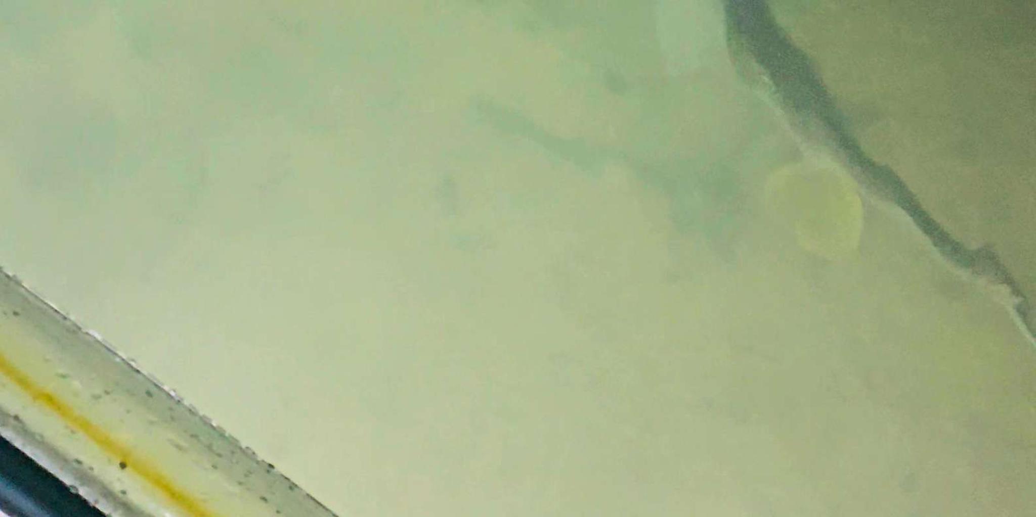 Sarasota Clear Kayak LED Night Tour - Image 4