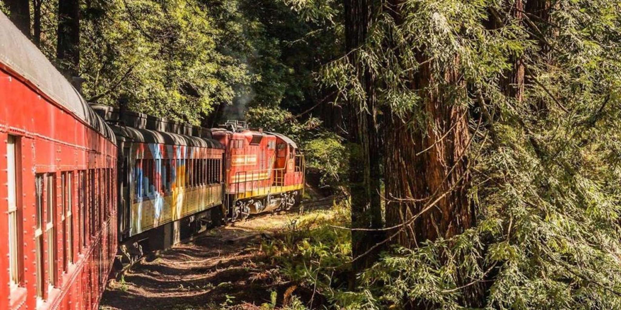 Fort Bragg Skunk Train Pudding Creek Ride