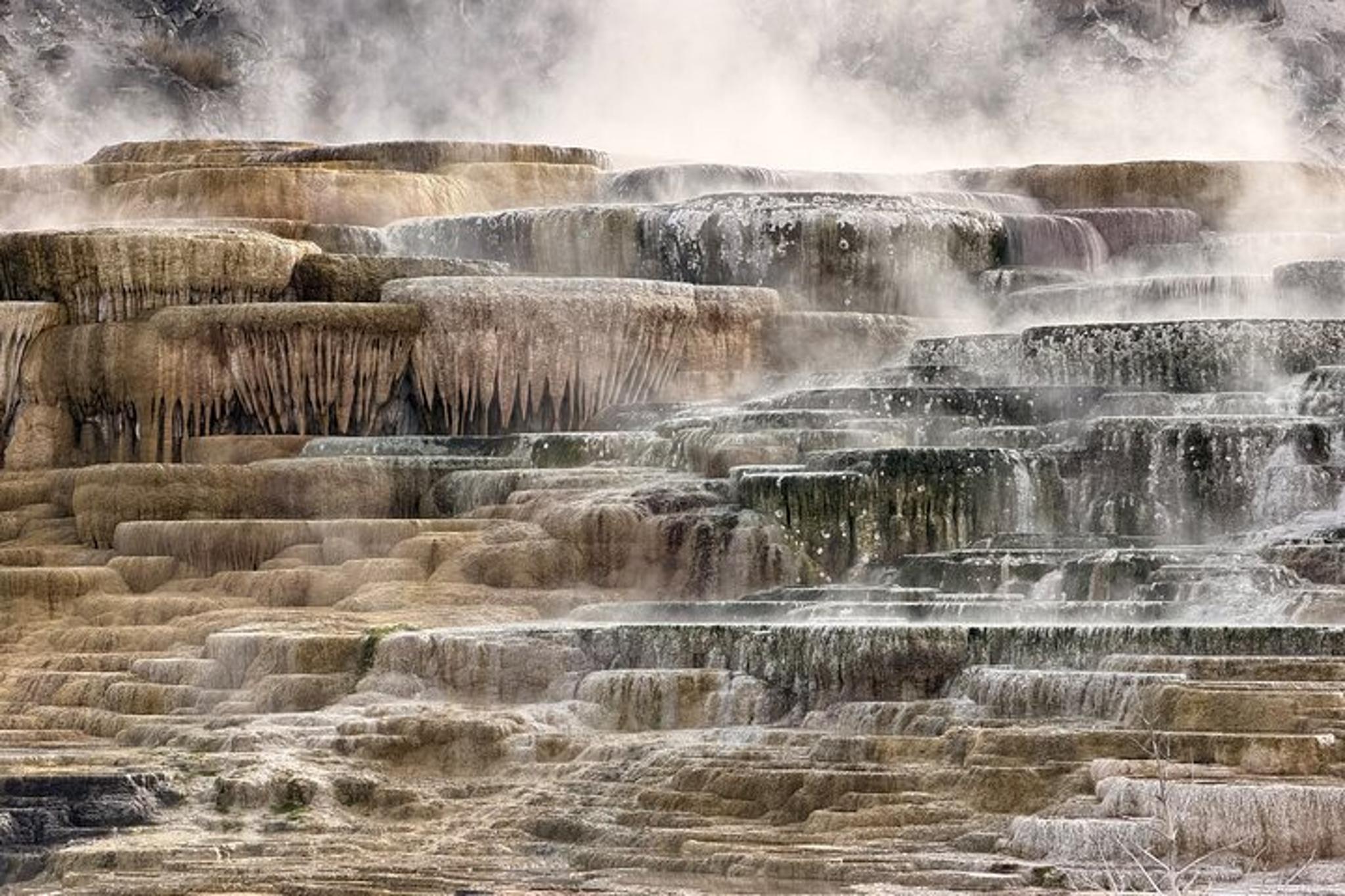 Yellowstone National Park Private Guided Tour - Image 5