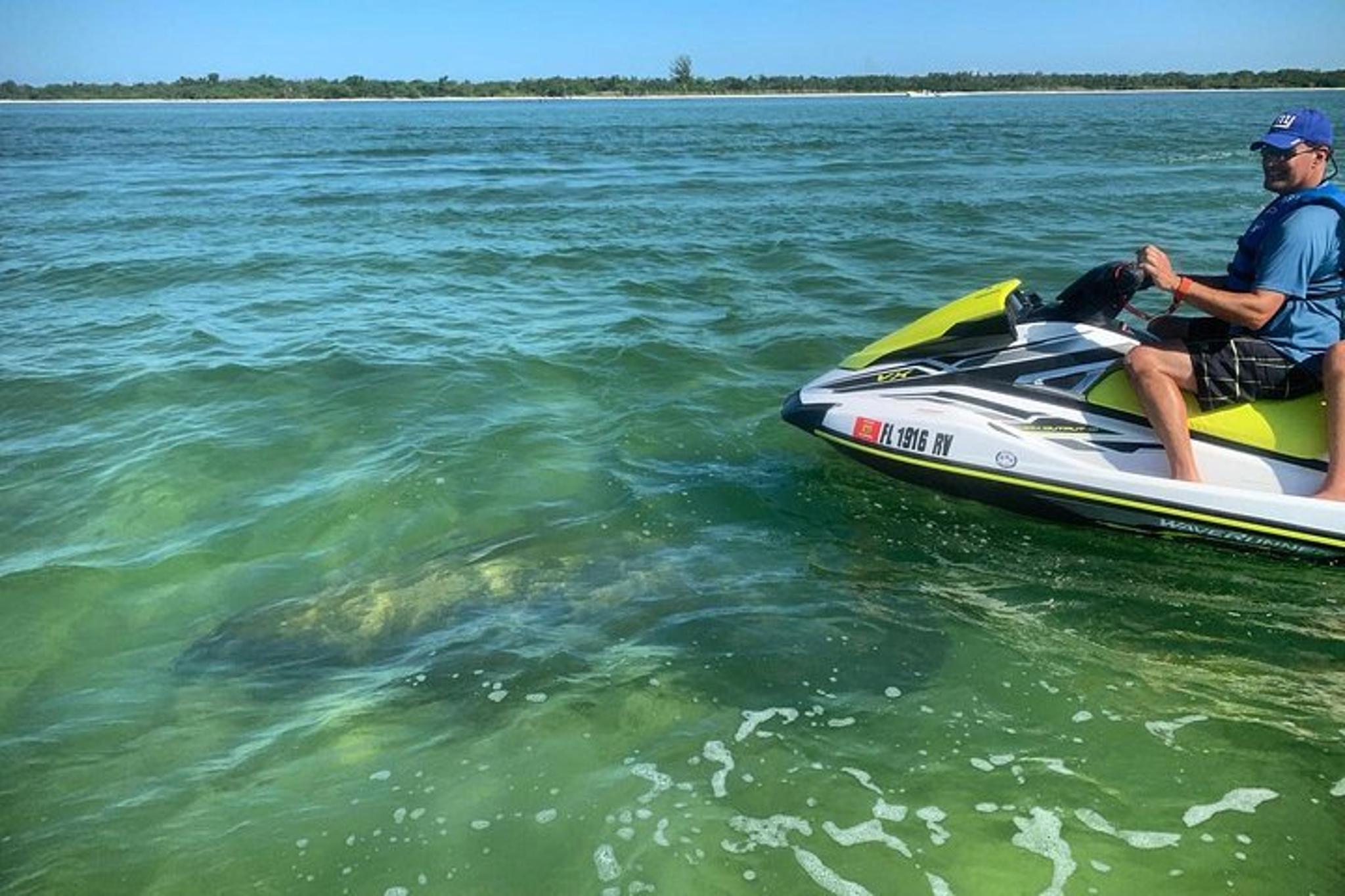 Marco Island Jet Ski Eco Tour - Image 5