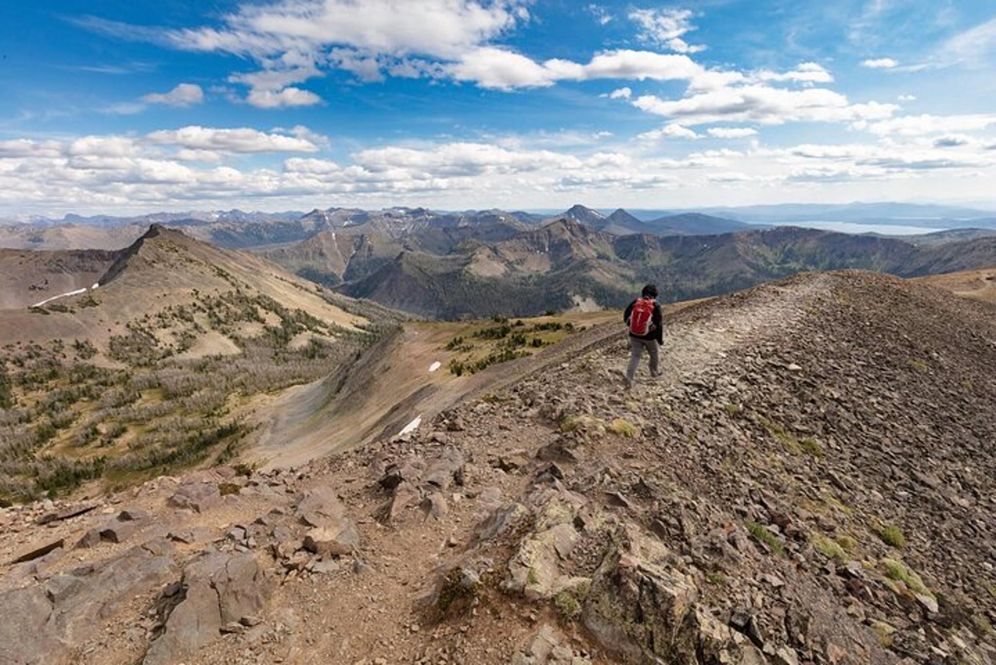 Yellowstone Avalanche Peak Naturalist Day Hike - Image 1