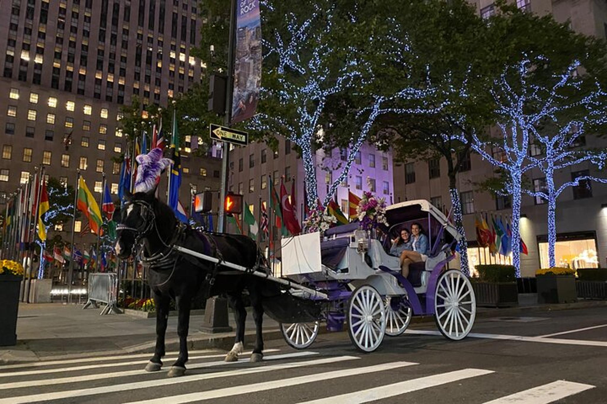 New York City Rockefeller Center Christmas Lights Carriage Ride - Image 6