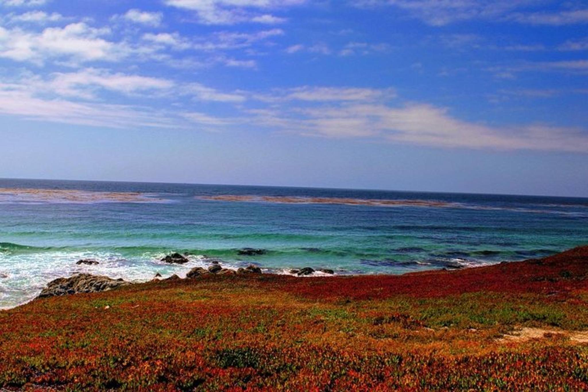 Carmel Monterey Highway 1 Tour - Image 2