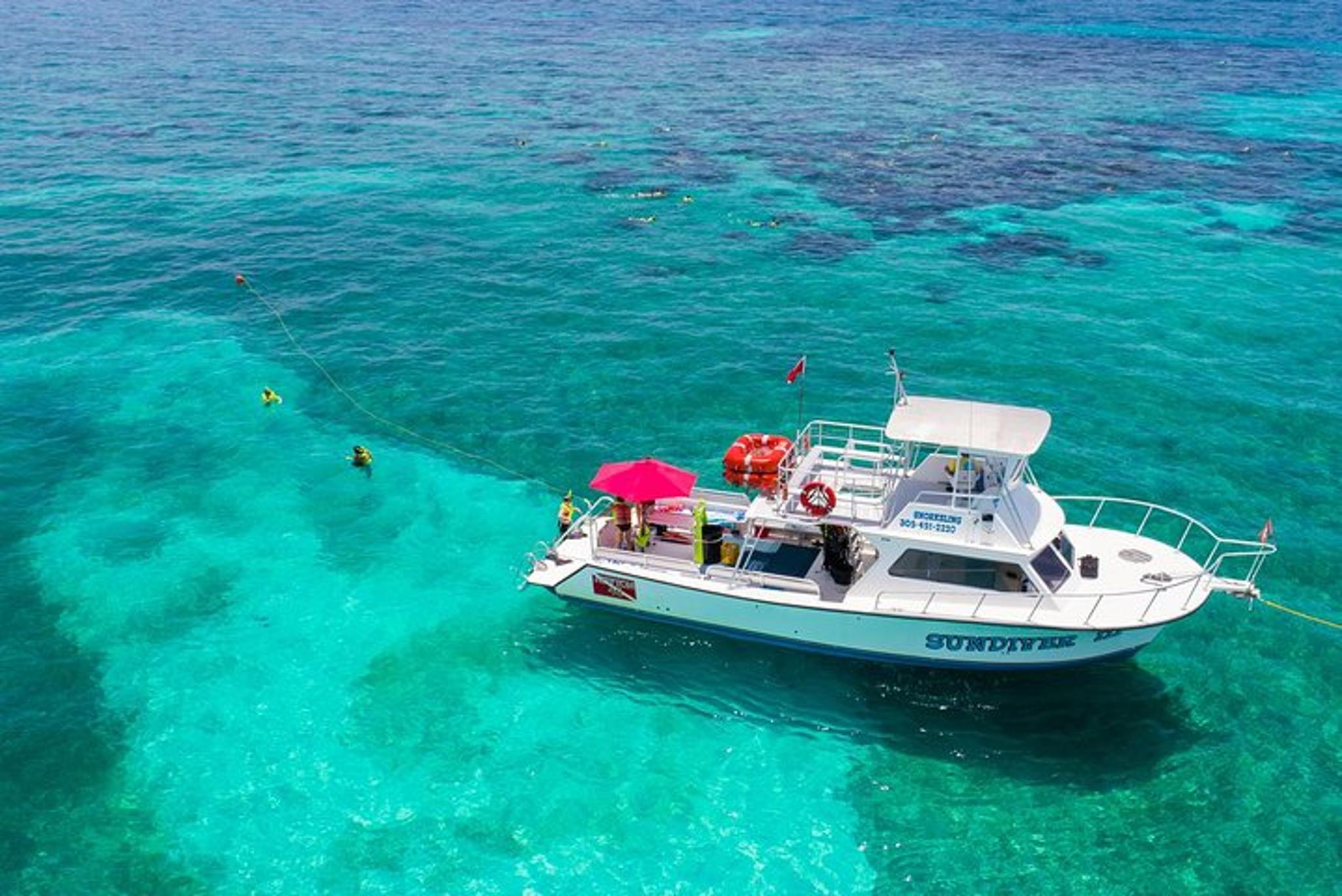 Key Largo Snorkeling Tour - Image 3