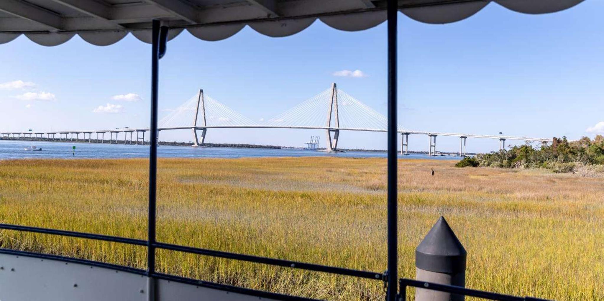 Charleston Harbor Sightseeing & Dolphin Watch Tour 1.5 hr - Image 4