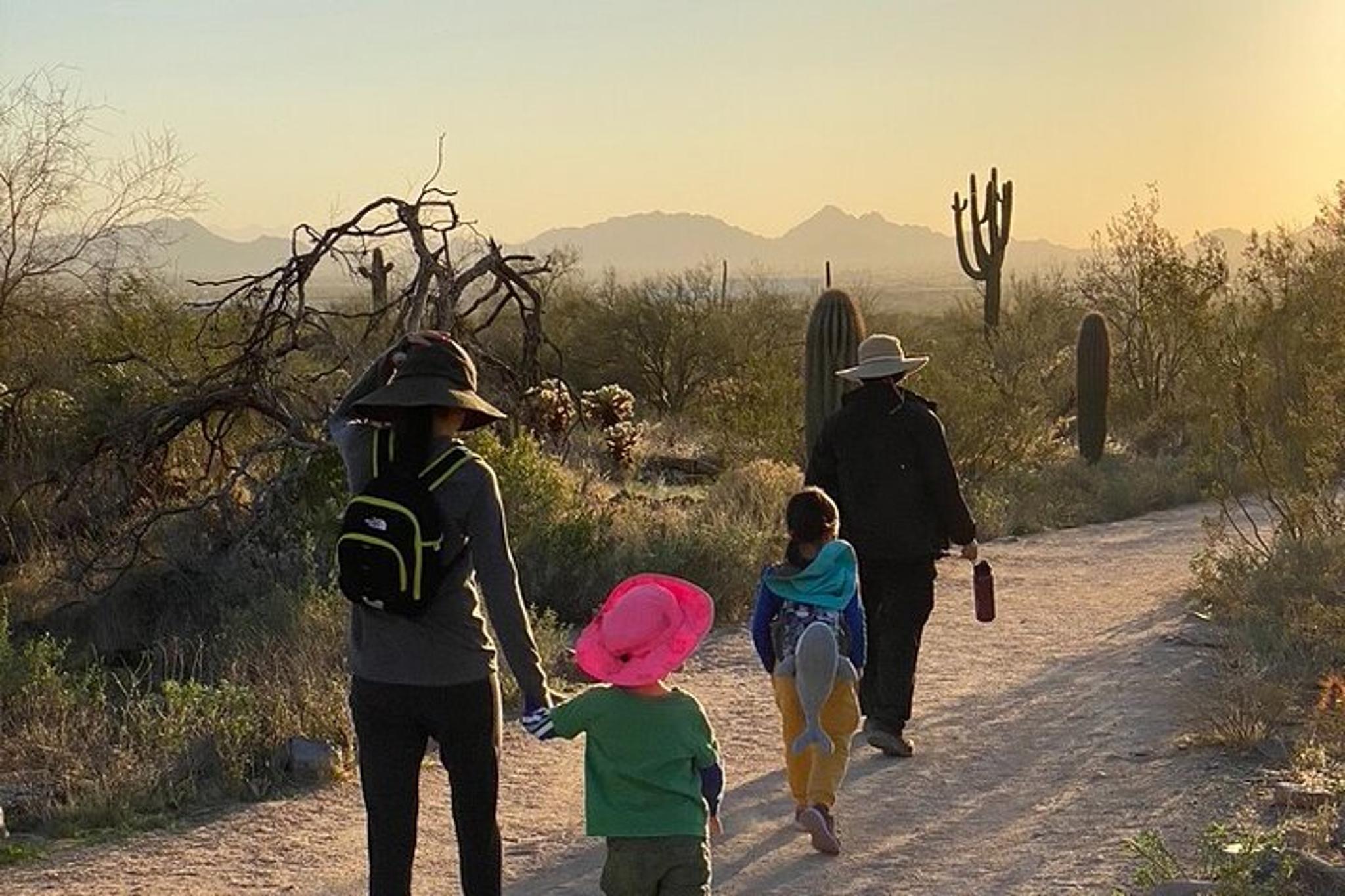 Scottsdale Desert Hiking Adventure - Image 6