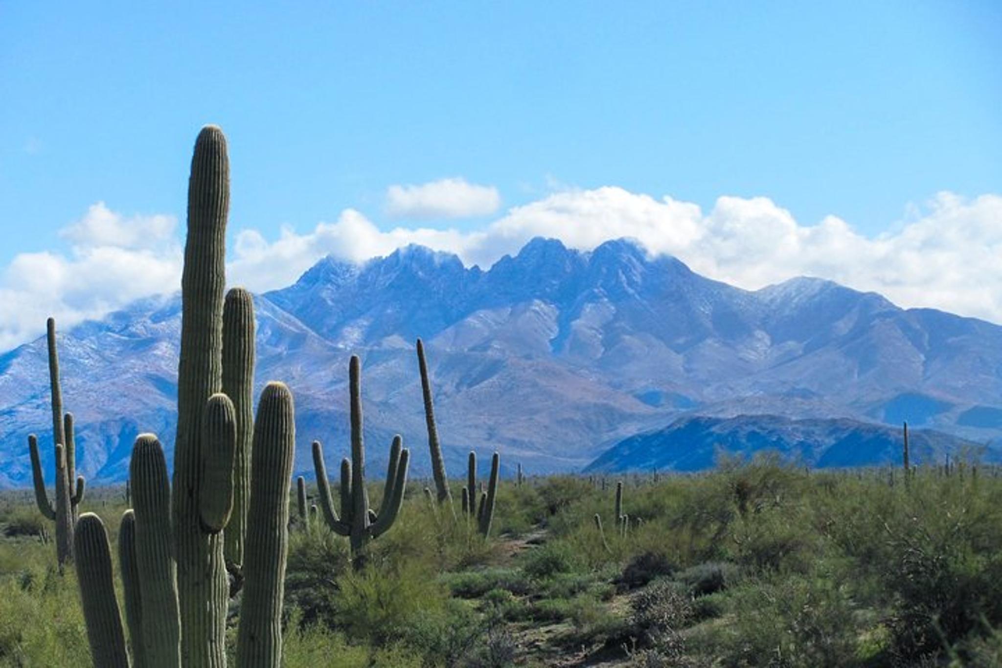 Phoenix Wilderness Hiking Tour - Image 2