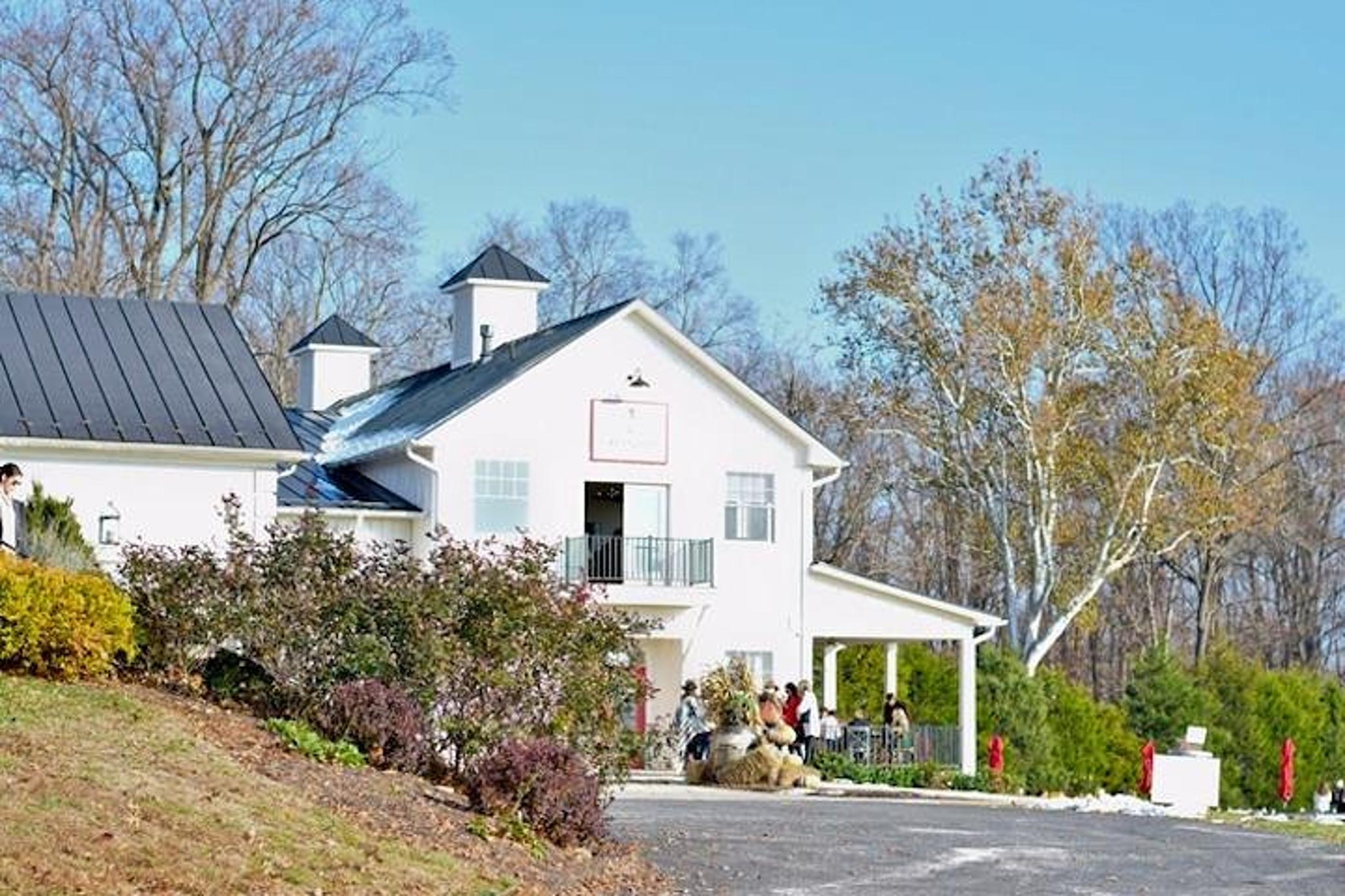 Northern Virginia Private Wine Tour - Image 6