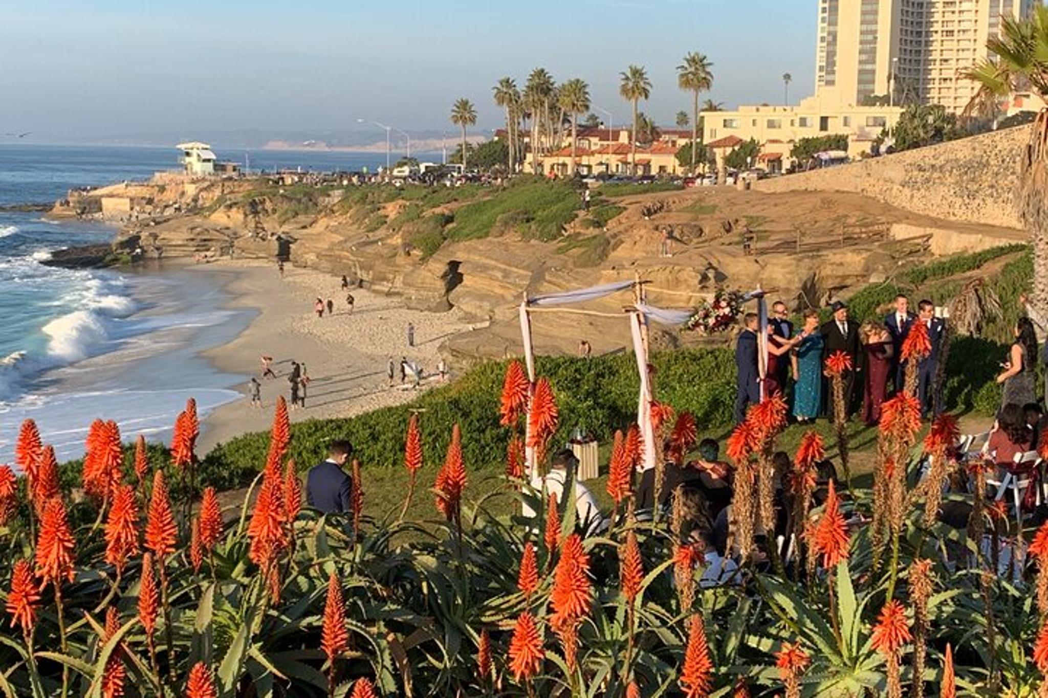 La Jolla Walking Tour - Image 4