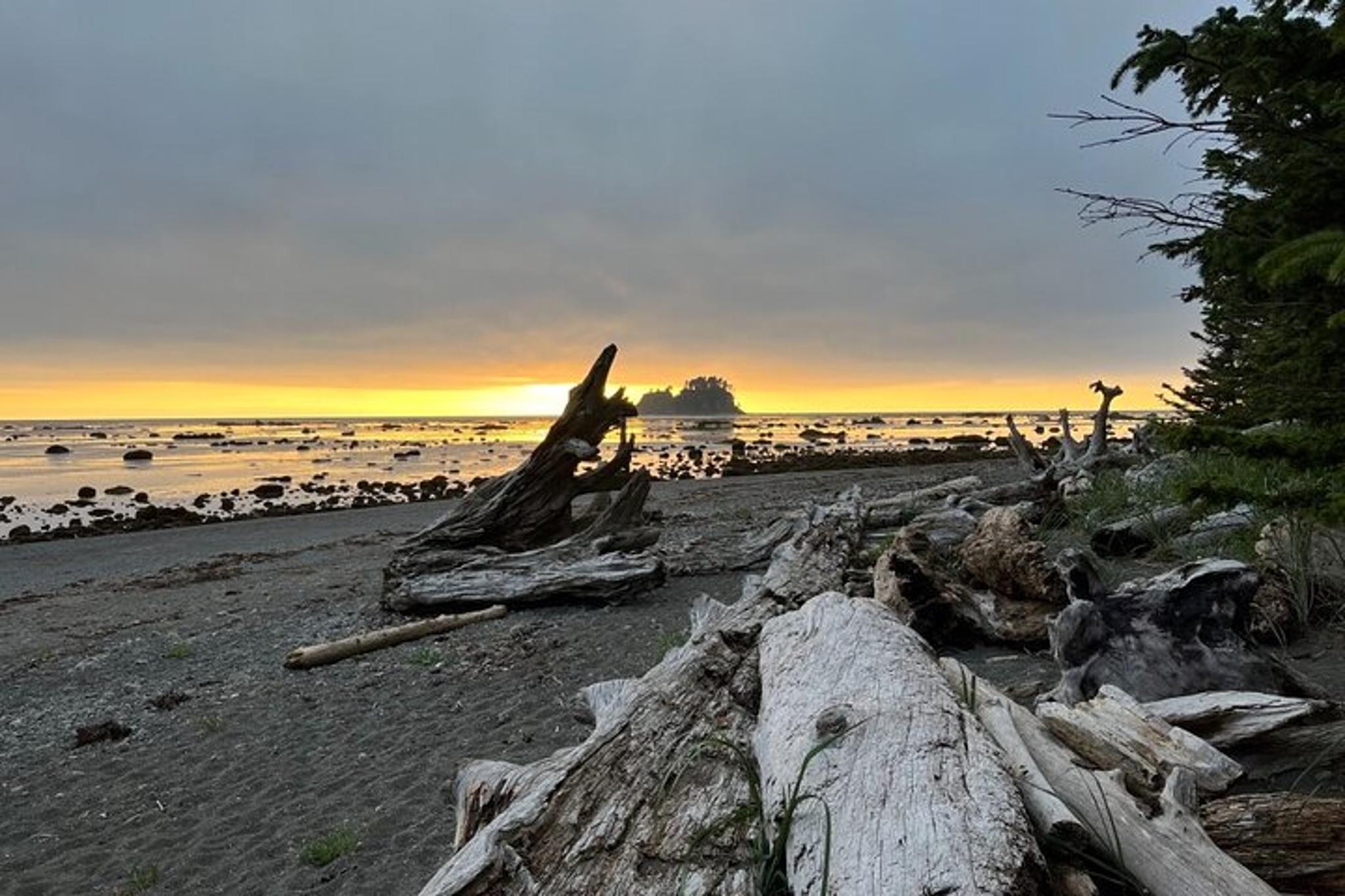 Olympic Backpacking Tour in North Coast 4-Day - Image 4