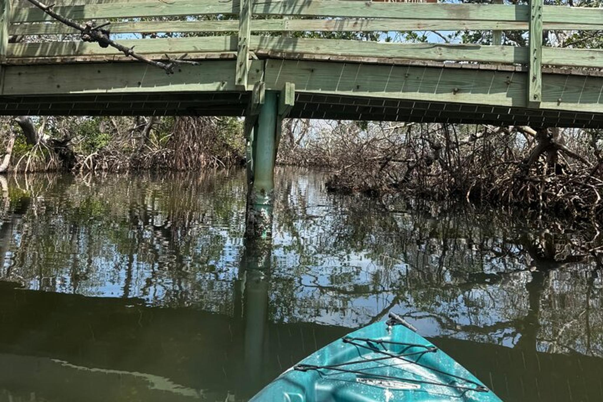 Ruskin Kayak Tour at EG Simmons Park 3 hr - Image 6