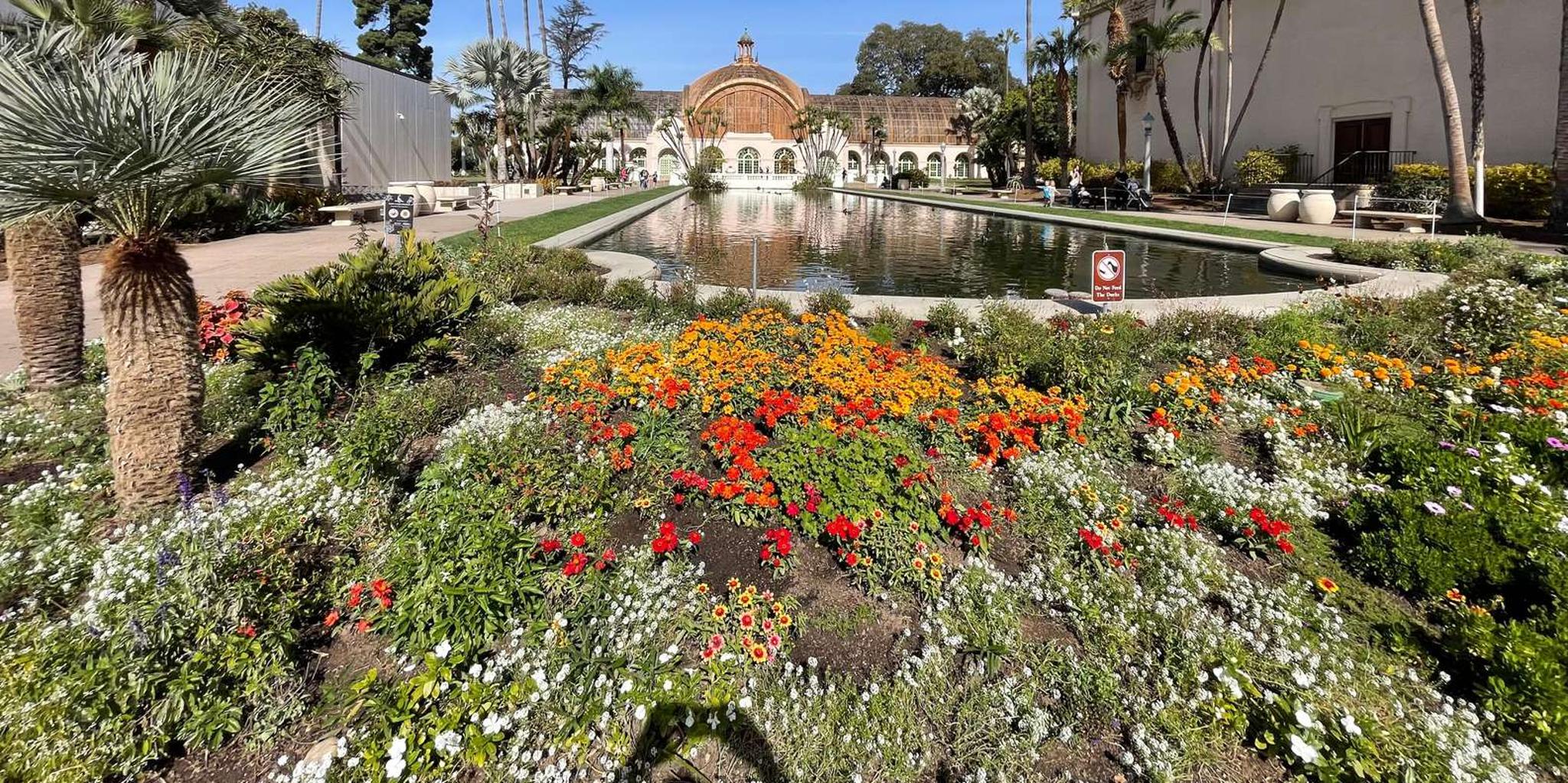 San Diego Private Tour in a Lexus ES300H