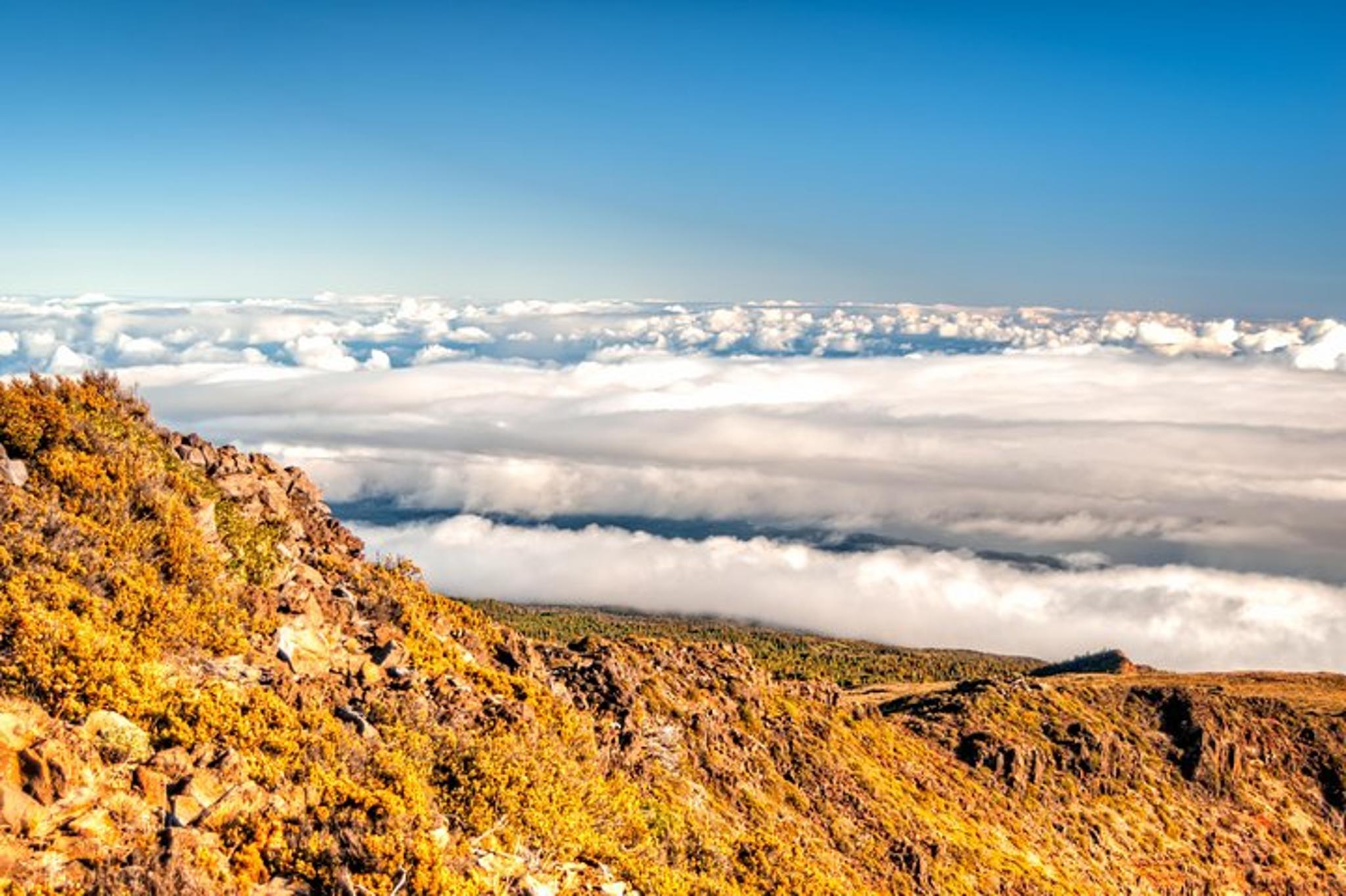 Kahului Haleakala Summit & Stroll - Image 6