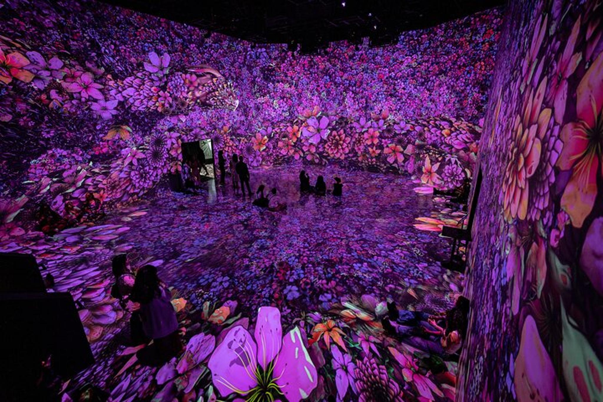 Washington DC Immersive Art Experience