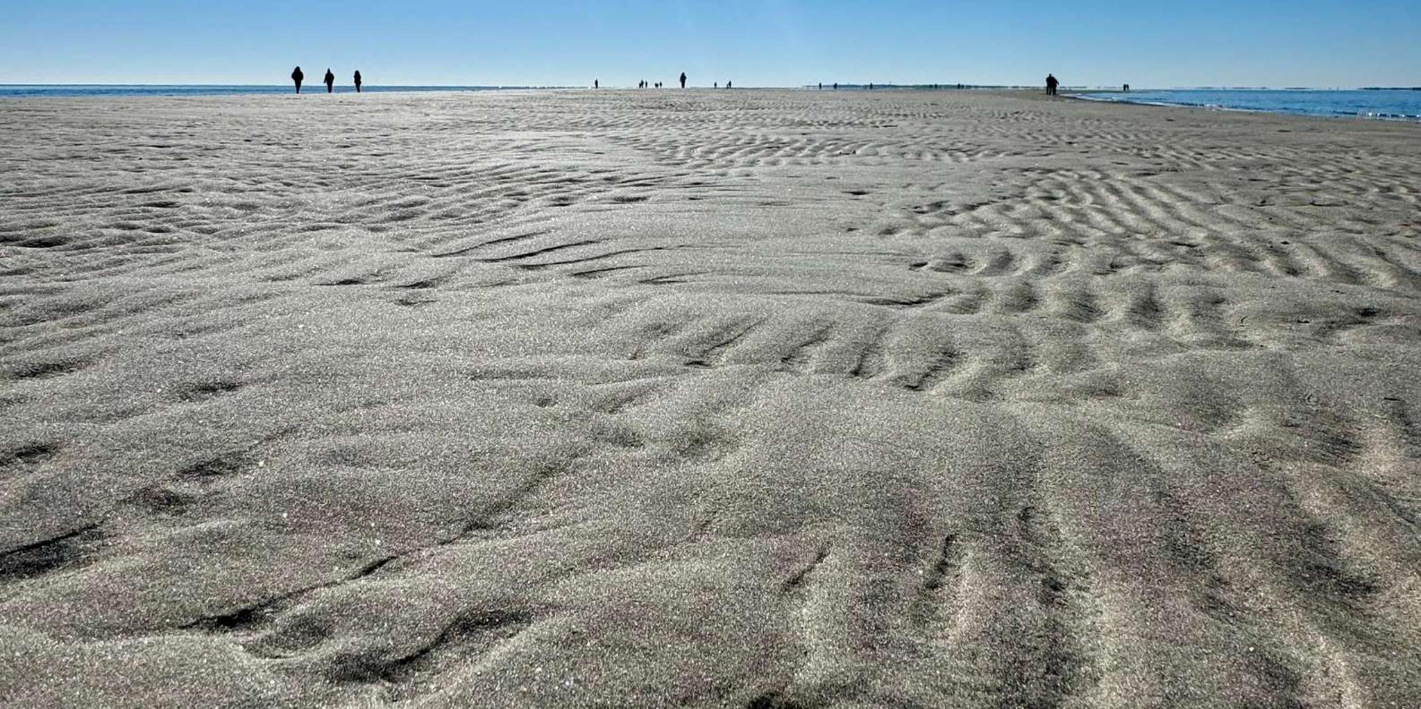 Hilton Head Island Dolphin and Disappearing Island Tour - Image 4