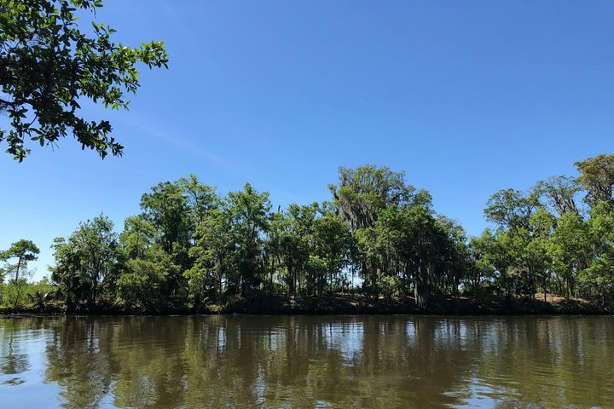 New Orleans City and Swamp Combo Tour - Image 4