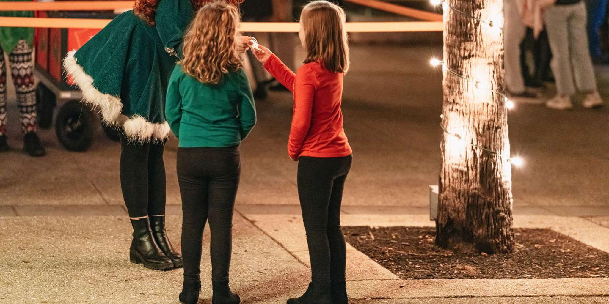 St. Augustine Nights of Lights Trolley Tour - Image 5