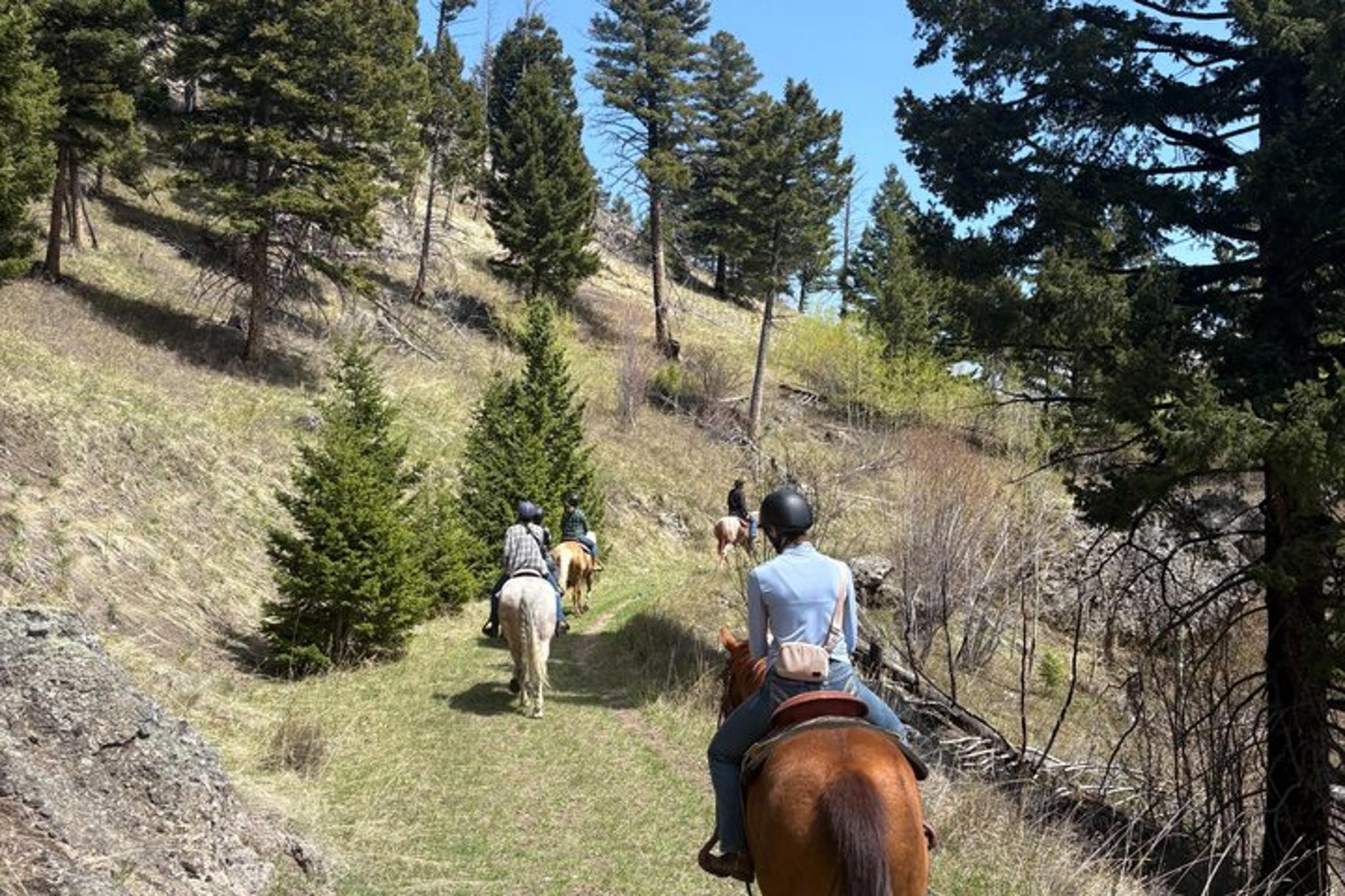 Paradise Valley Chimney Rock Trail Ride - Image 6