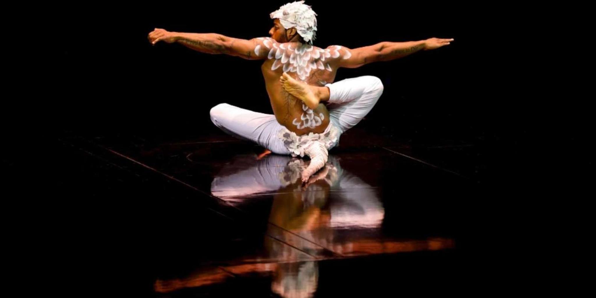 San Francisco Cirque du Soleil ECHO Show - Image 3