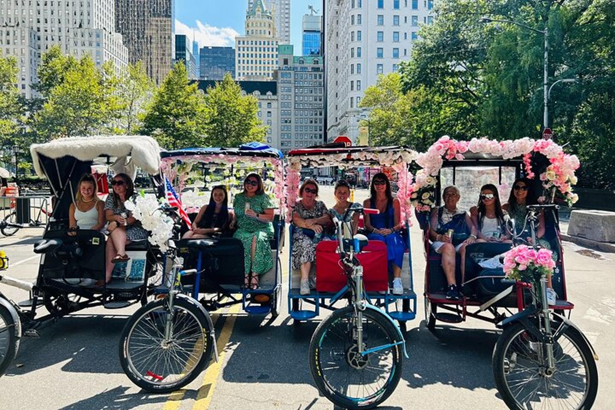 New York City Central Park Pedicab Tour 2 hr