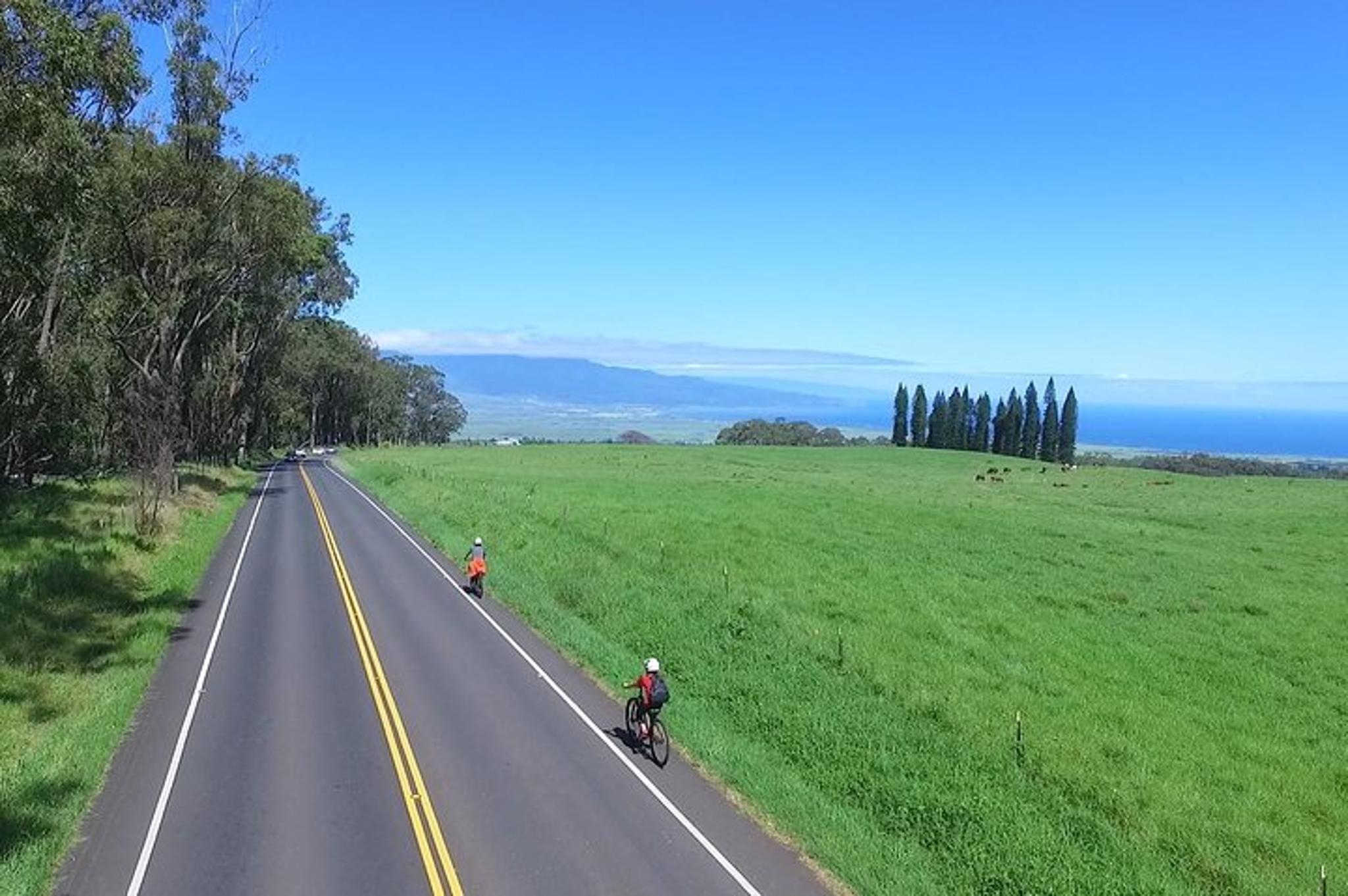 Maui Haleakala Downhill Bike Tour - Image 4
