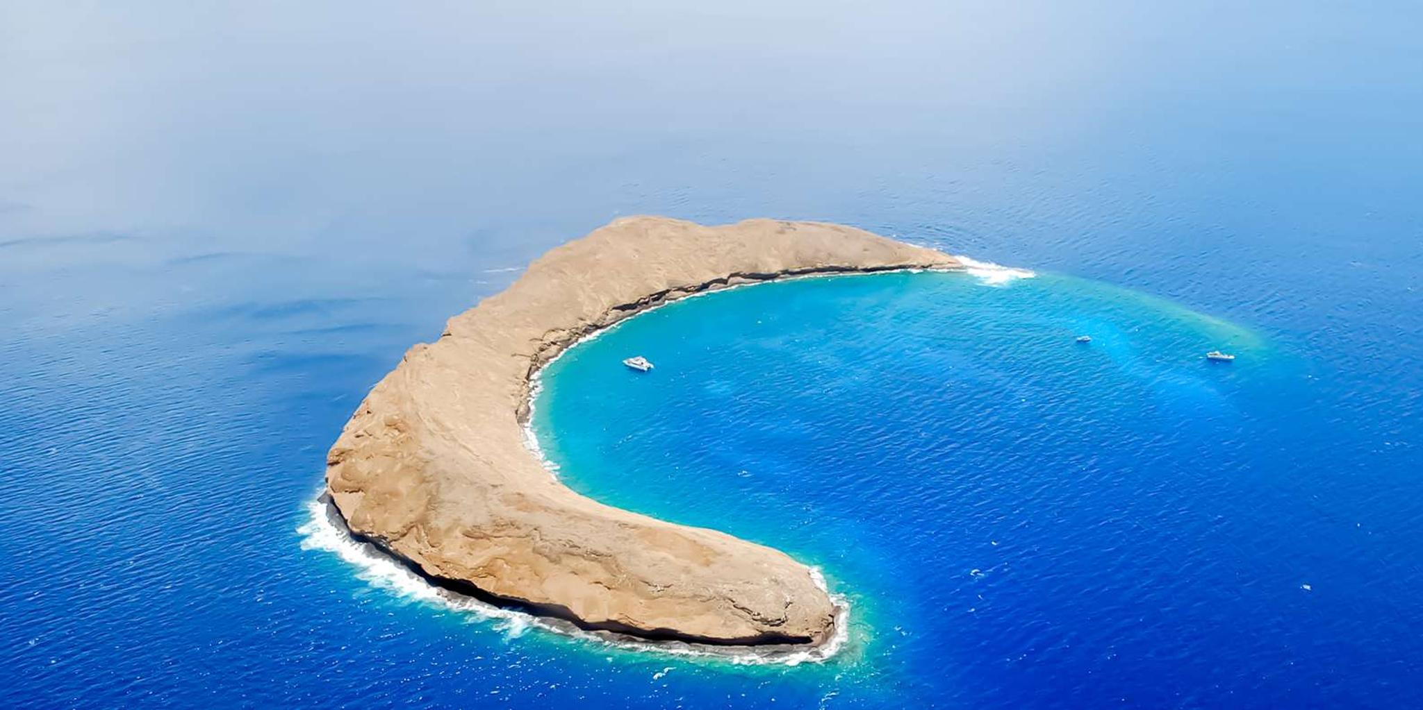 Maui Snorkeling Adventure at Molokini and Turtle Sites - Image 2