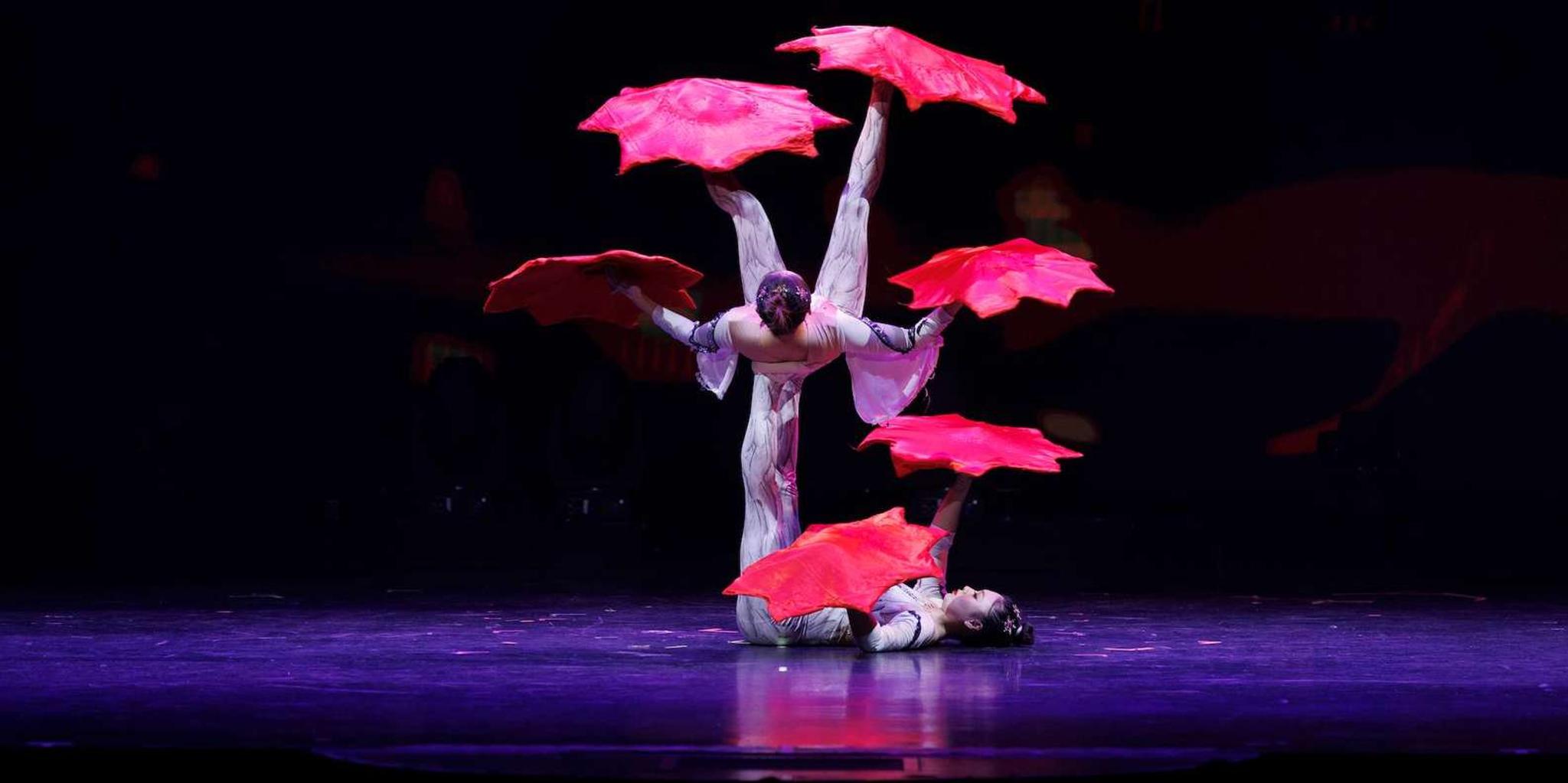 Branson Grand Shanghai Circus Show - Image 6