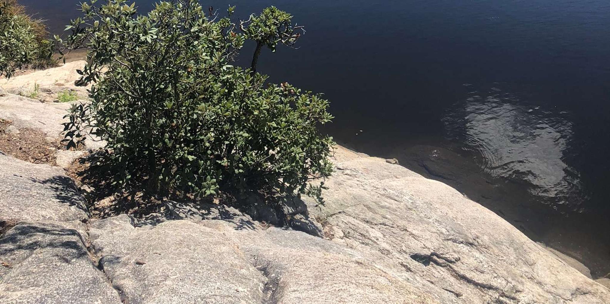 Tucson Mountain Bio Zones Tour - Image 4