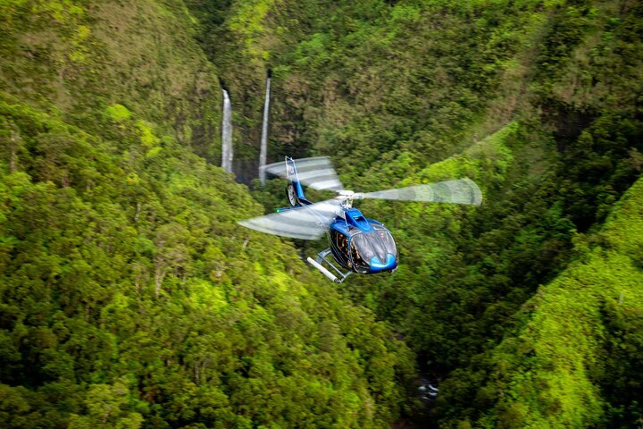 Waikoloa Helicopter Tour with Kohala Waterfalls Landing - Image 4