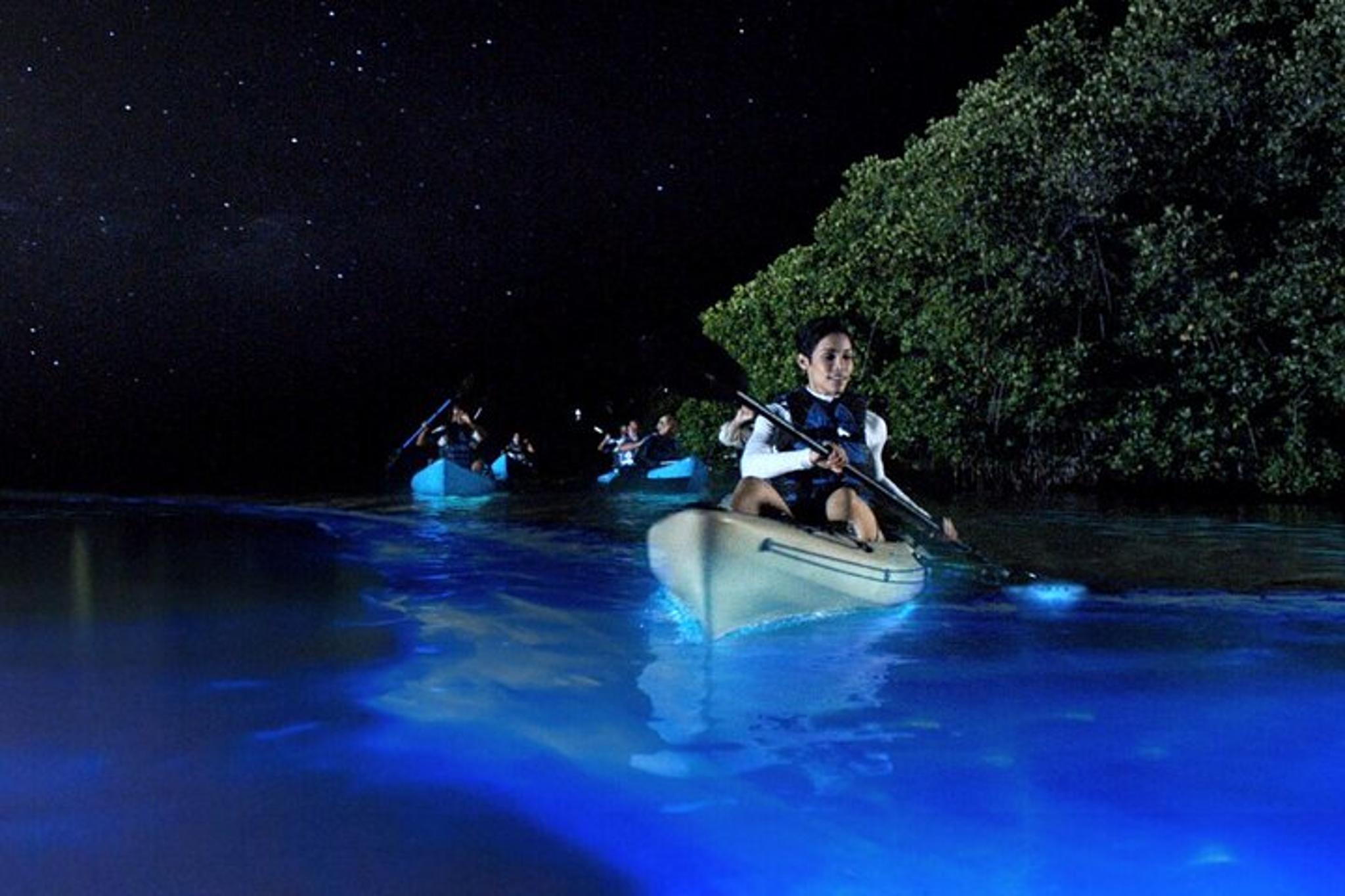 Orlando Bioluminescence Kayak Tour - Image 5