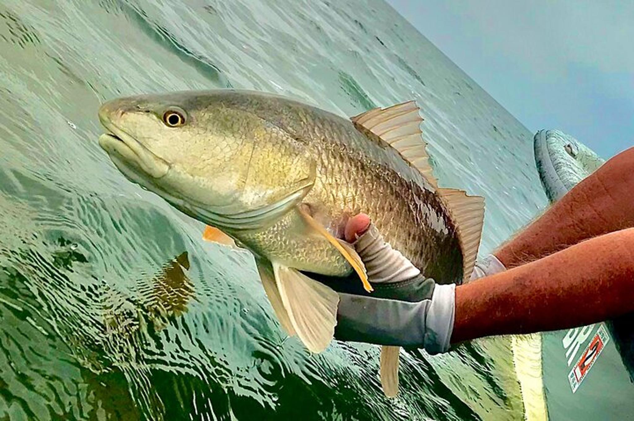 South Padre Bay Fishing Trip for Two - Image 2