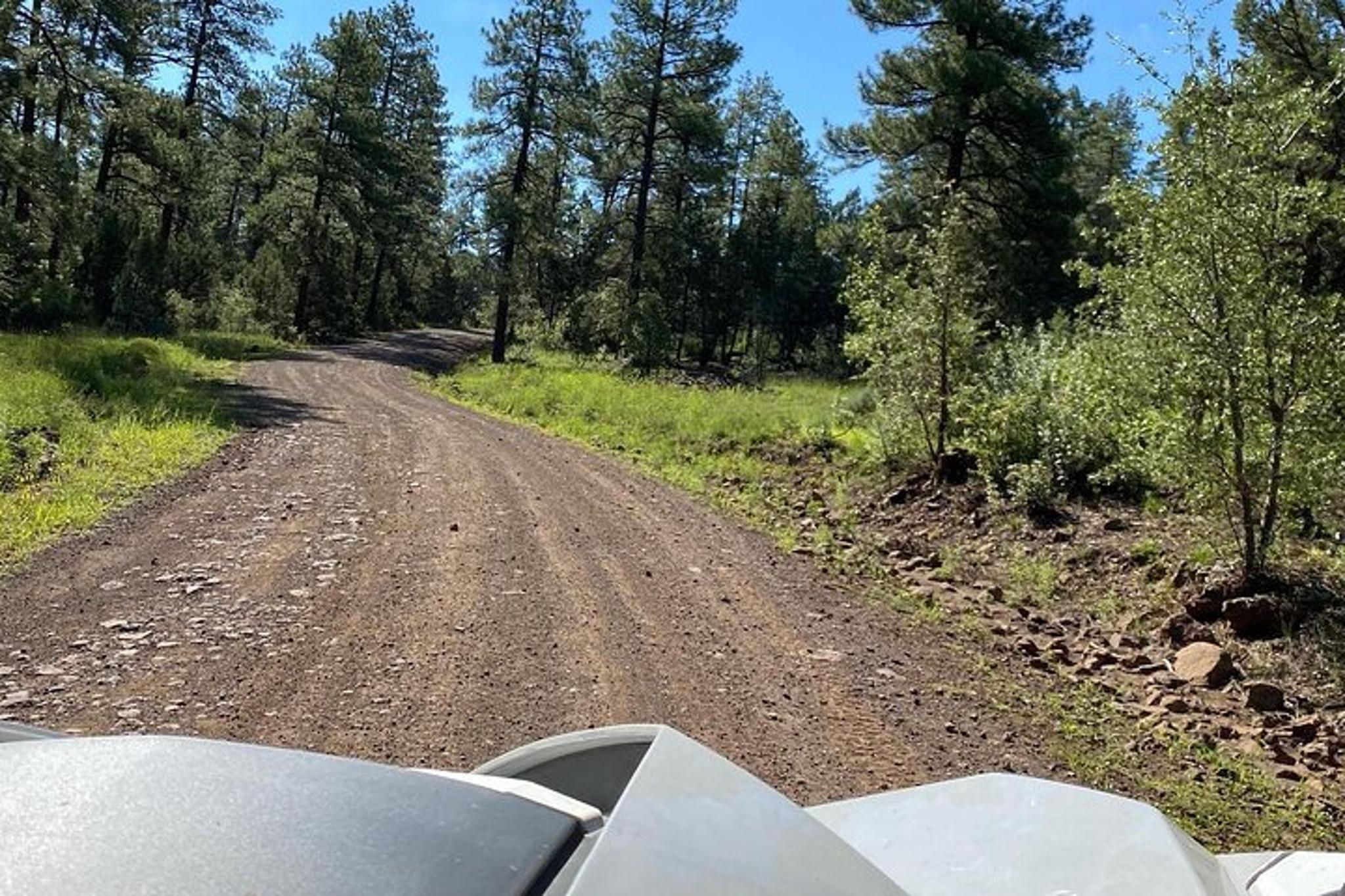 Flagstaff UTV Adventure in Northern Arizona - Image 2