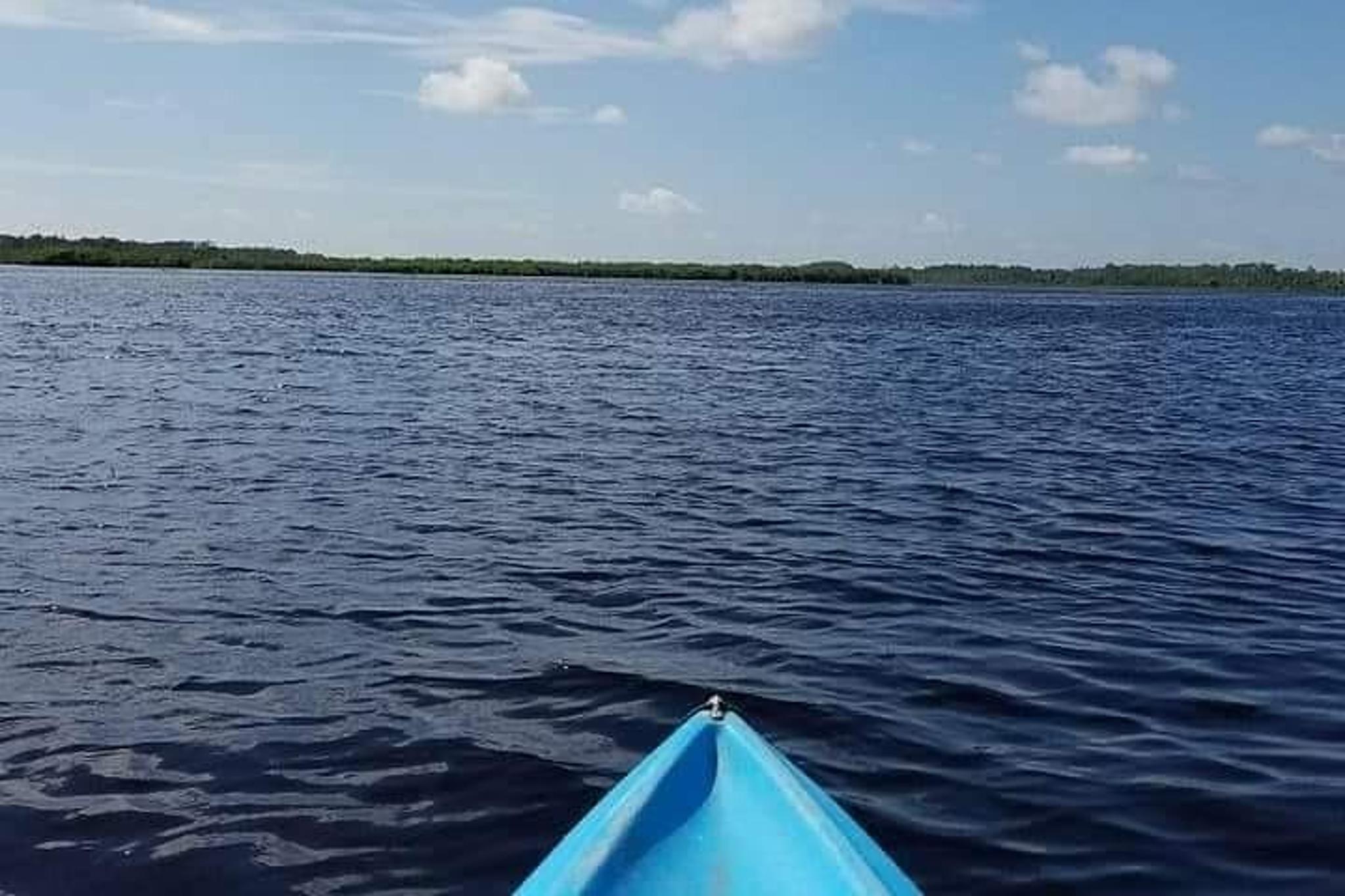New Smyrna Beach Wildlife Eco Kayak Tour - Image 2