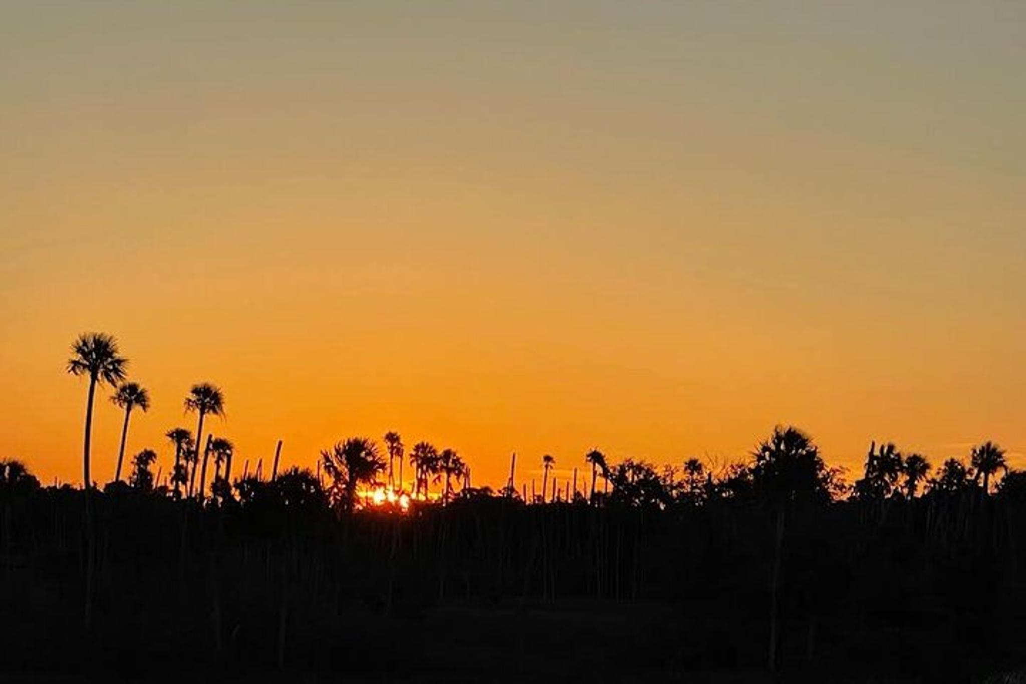 King's Bay Sunset Cruise - Image 3