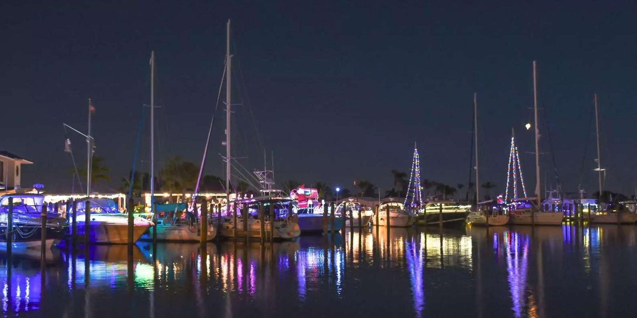 San Francisco Christmas Lights Tour with Cider - Image 6