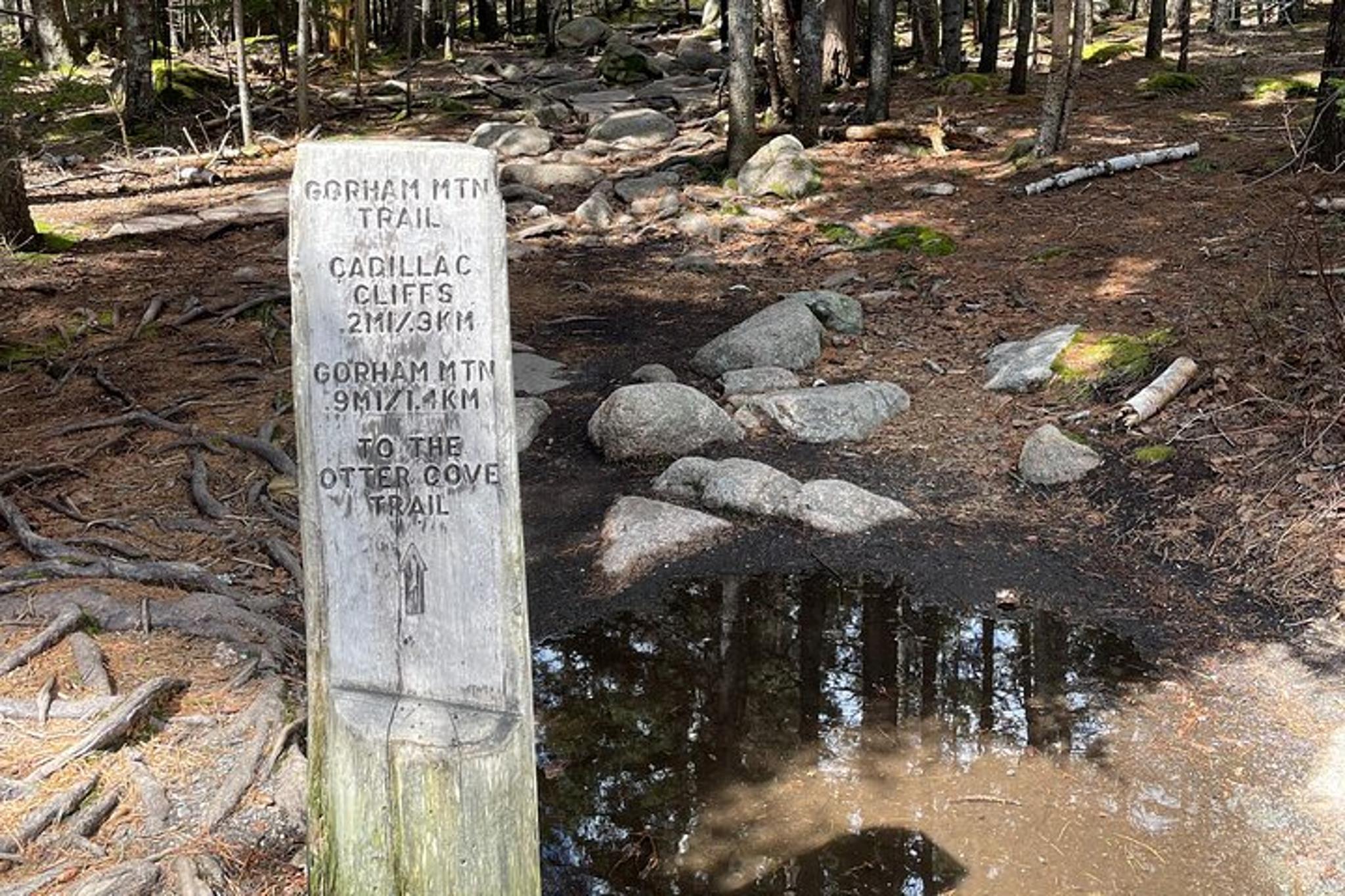 Acadia National Park Self-Guided Driving Tour - Image 5