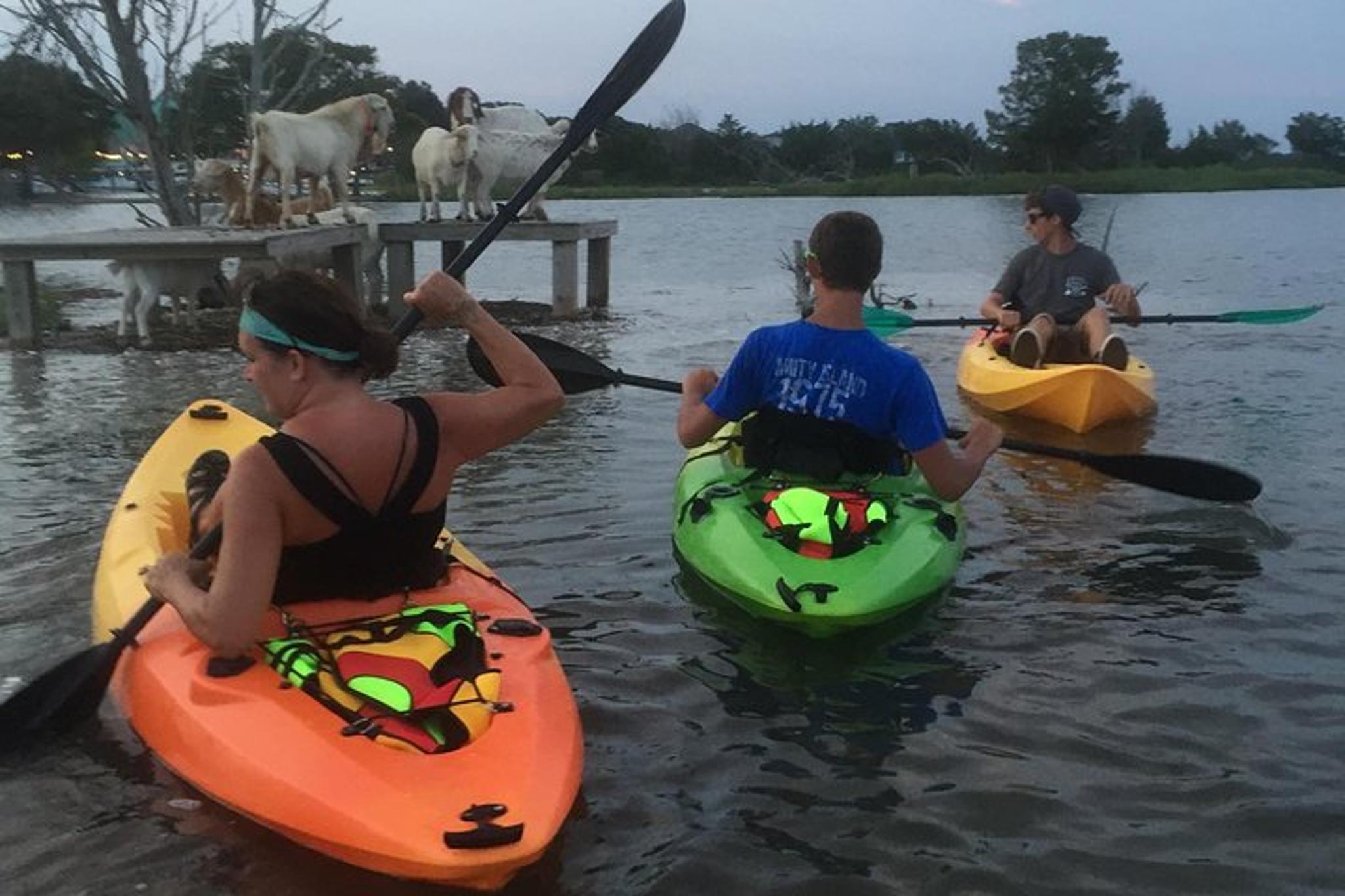 Myrtle Beach Kayak Tour on the Waccamaw River - Image 2