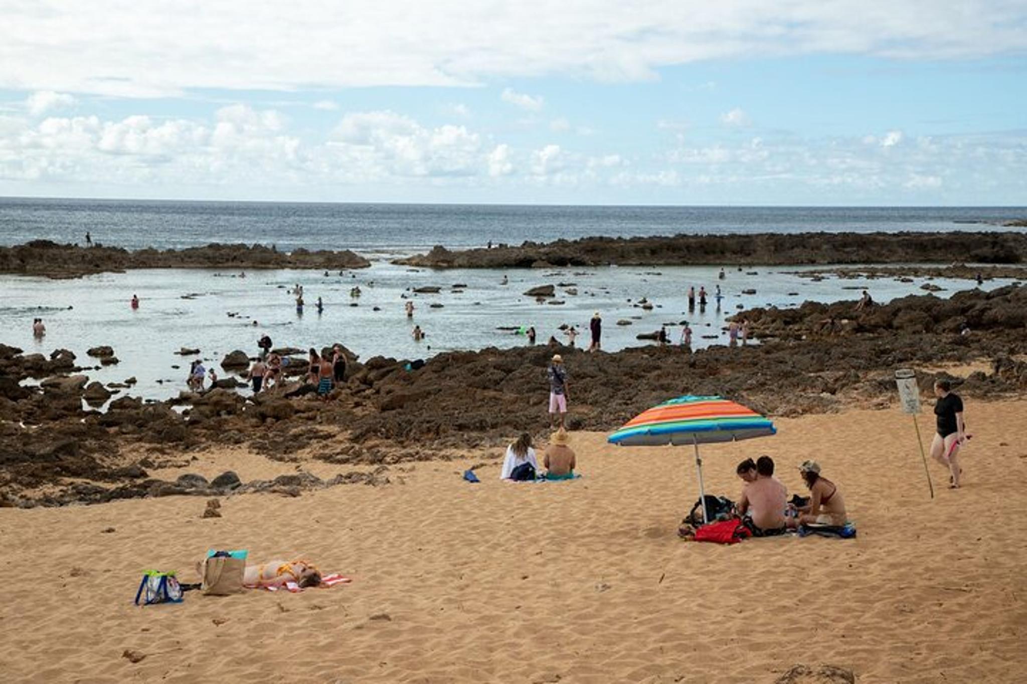 Oahu Circle Island Small Group Tour from Waikiki - Image 4