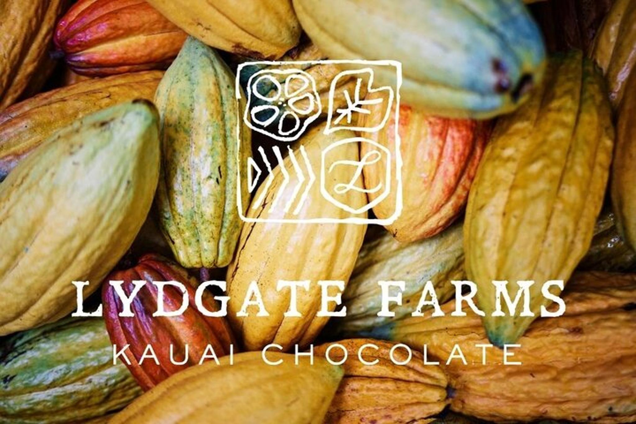 Kauai Chocolate Farm Tasting Tour - Image 4