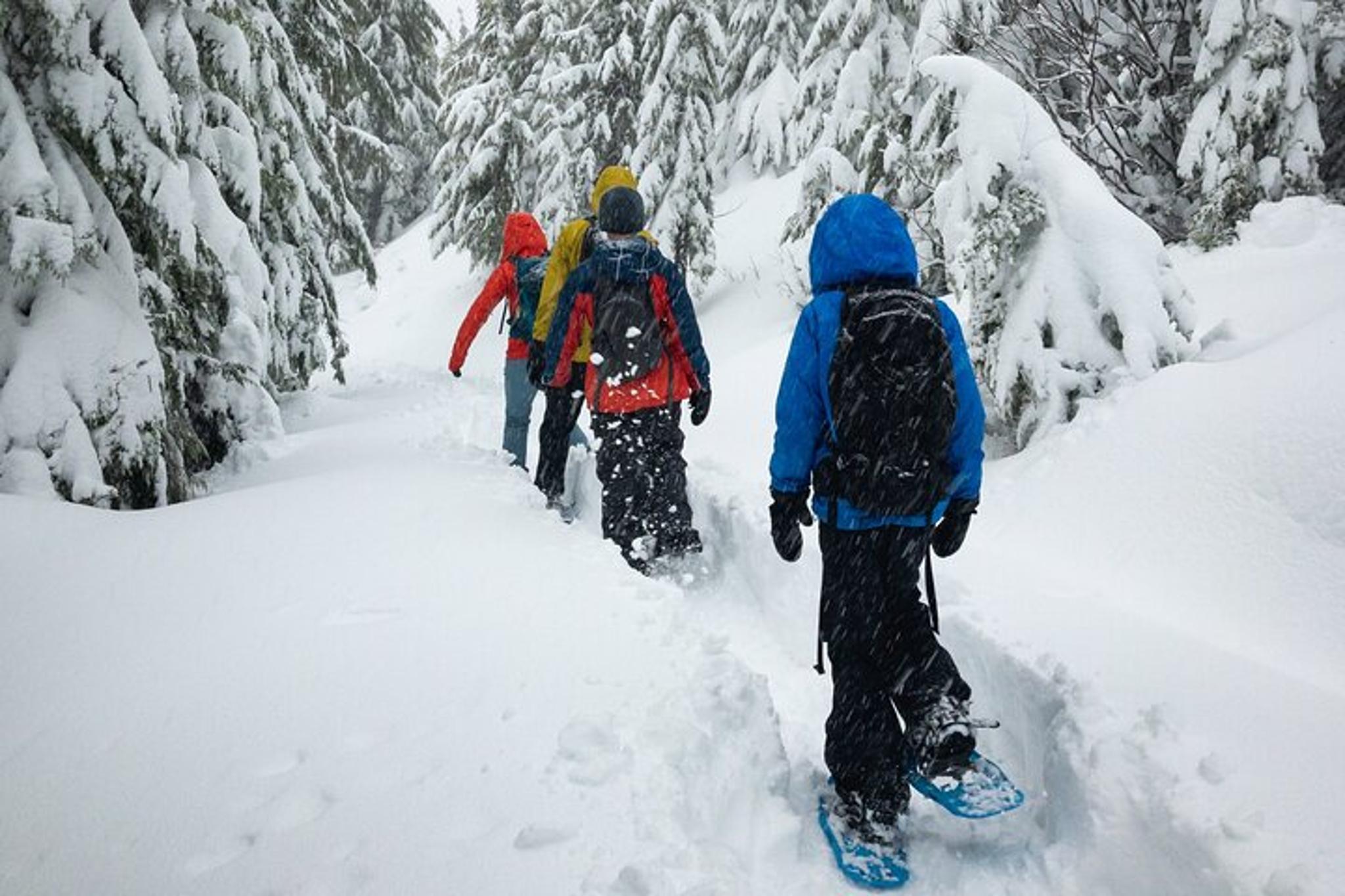 South Lake Tahoe Snowshoe Rentals - Image 3