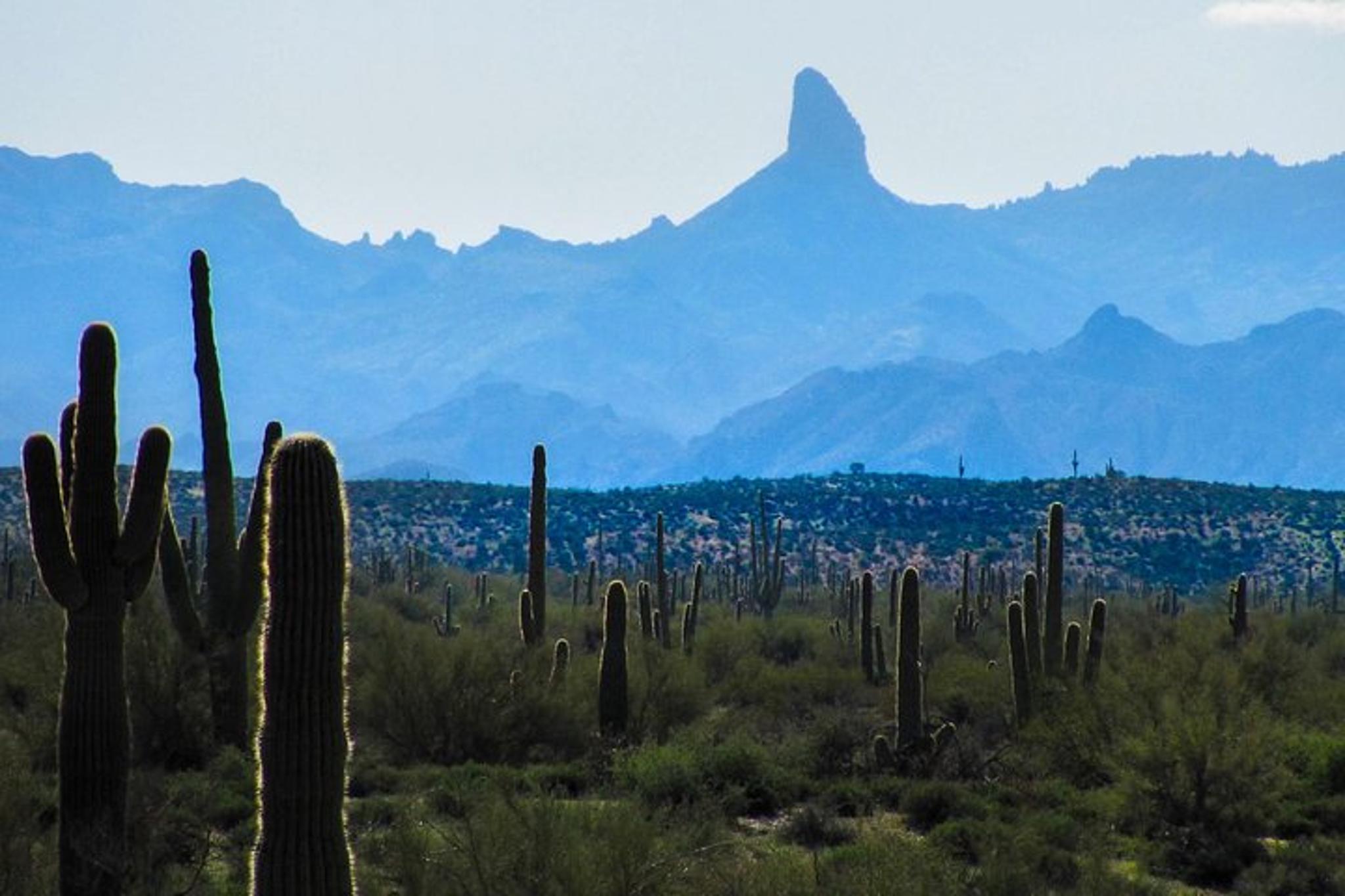 Phoenix Wilderness Hiking Tour