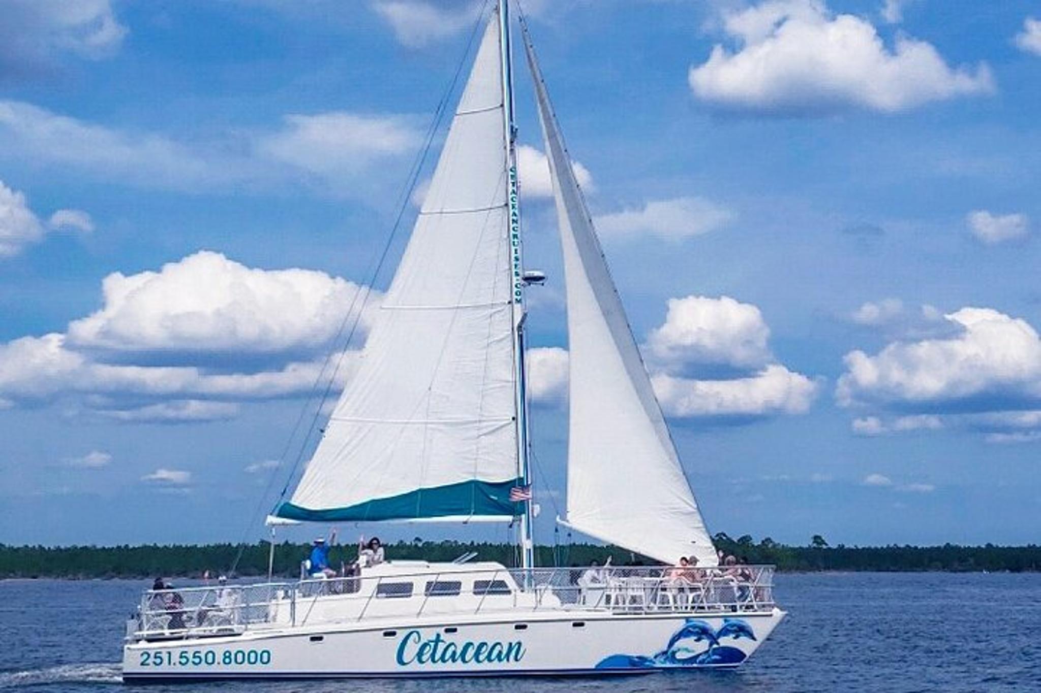 Orange Beach Dolphin Sailing Cruise - Image 6